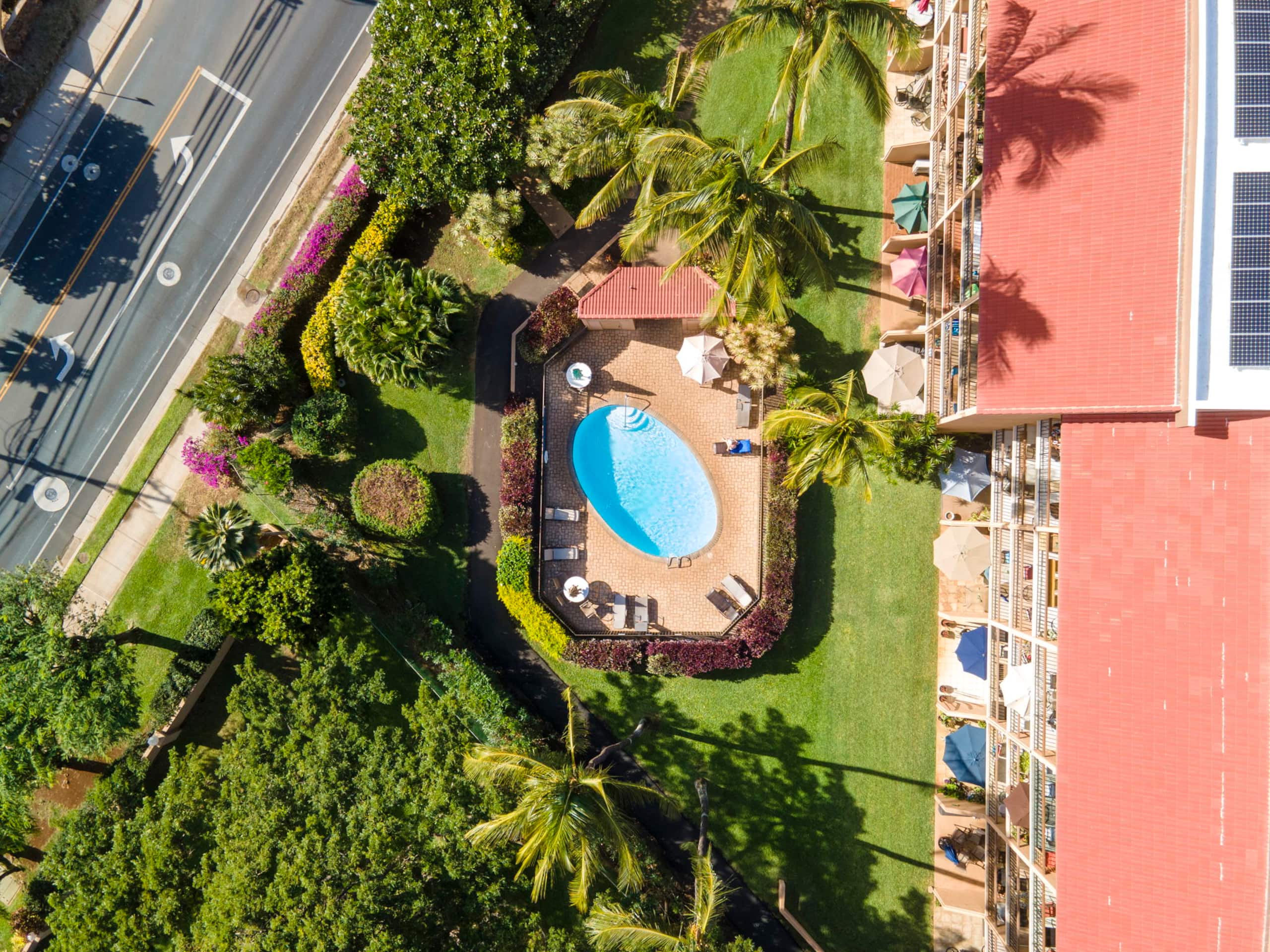 Condo in Kihei · ★4.88 · 1 bedroom · 2 beds · 1 private bath - Image 35