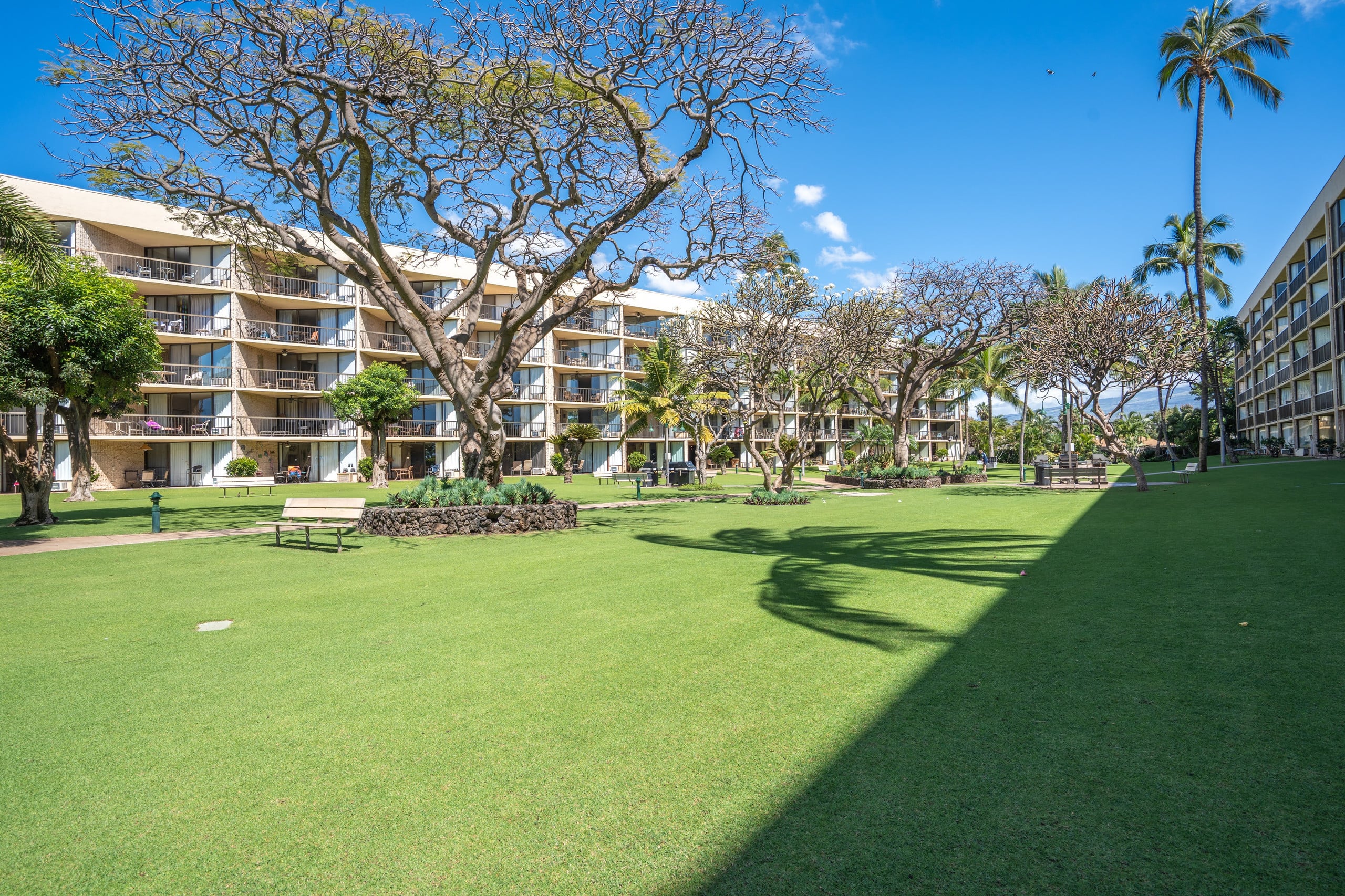 Condo in Kihei · ★4.83 · 2 bedrooms · 4 beds · 2 private baths - Image 37