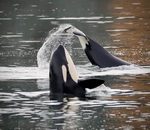 On The Beach! Cozy+Amazing Moonrise-Stunning Views