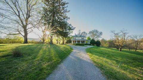 Bluemont Belle is settled on a Historic Equestrian