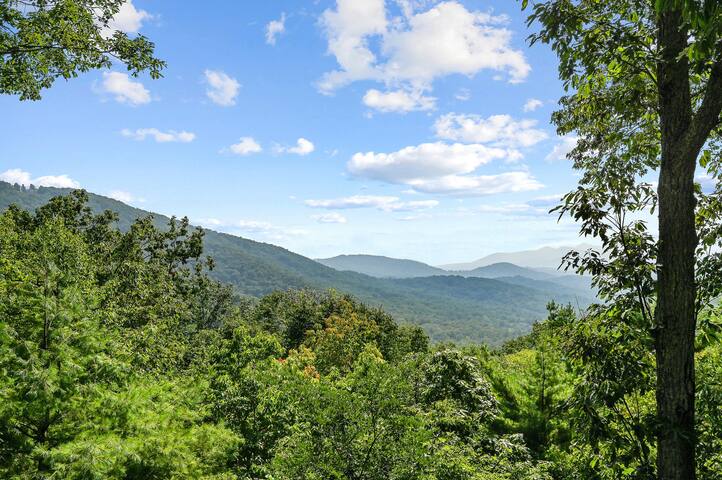 Five Bedroom Gameroom Hot Tub StarLink gallery image 3