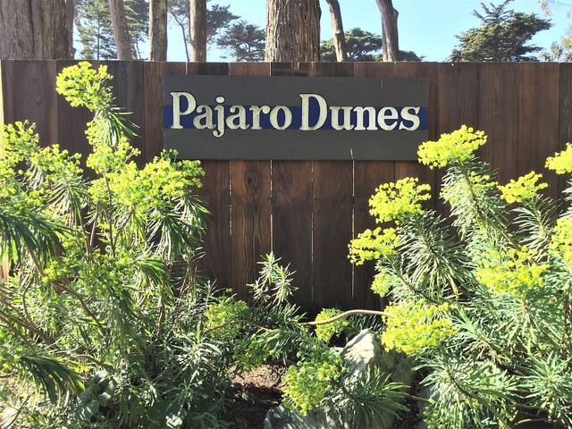 Oceanfront Cottage Gem w toys *groceries delivery! gallery image 5