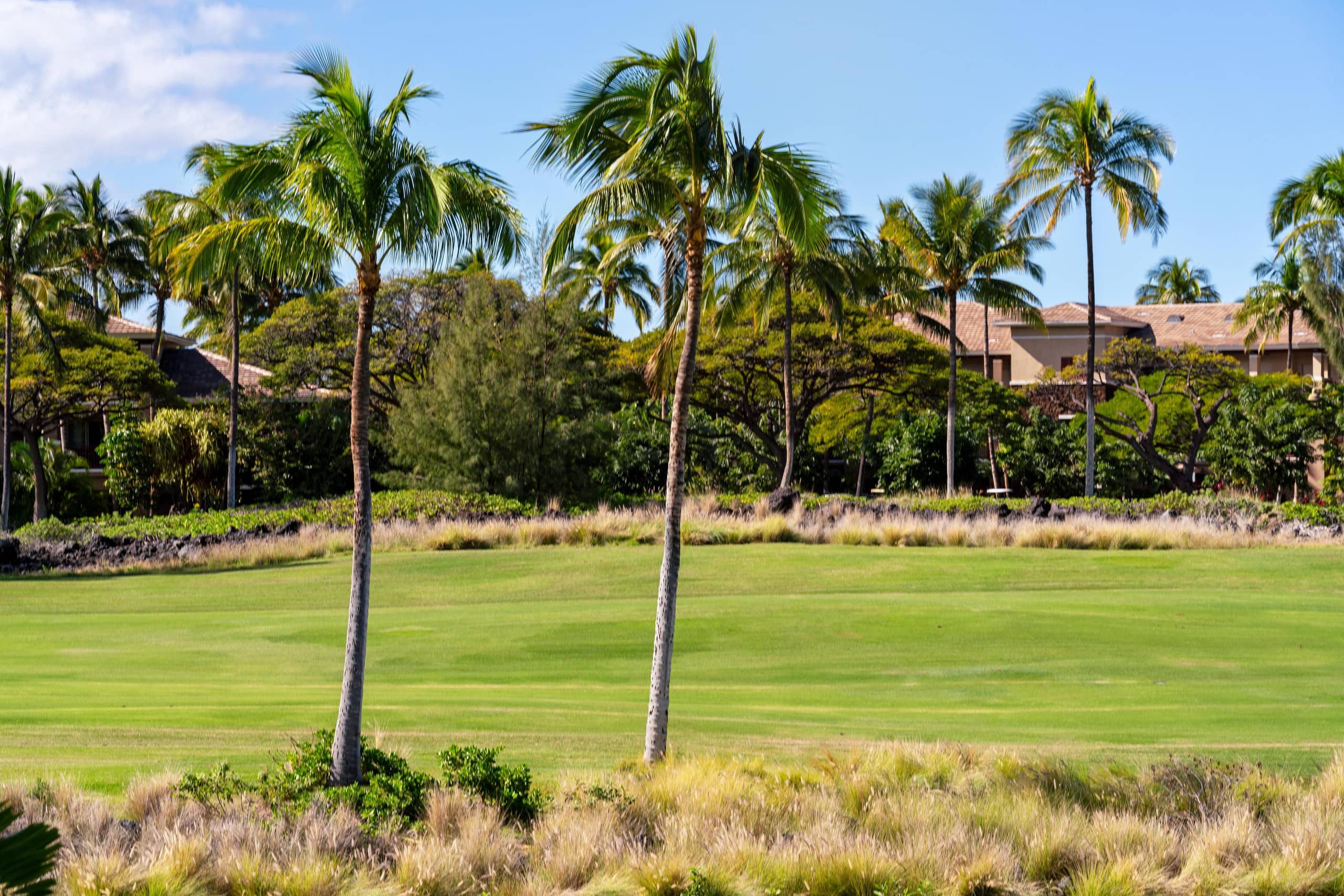 Waikoloa condo w/ pool, hot tub & lanais - Photo 48