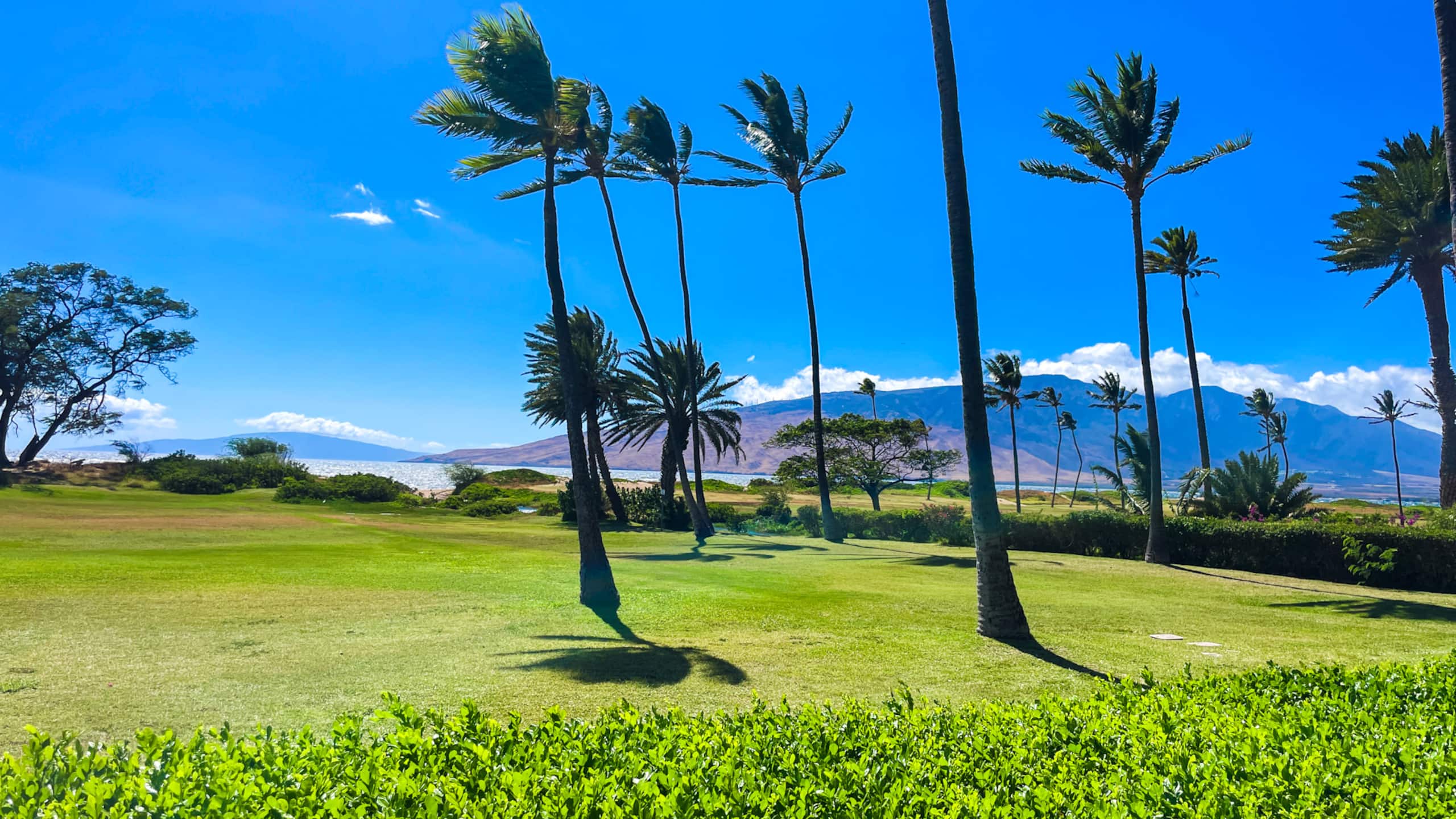 Home in Kihei · ★4.92 · Studio · 1 bed · 1 private bath - Image 1