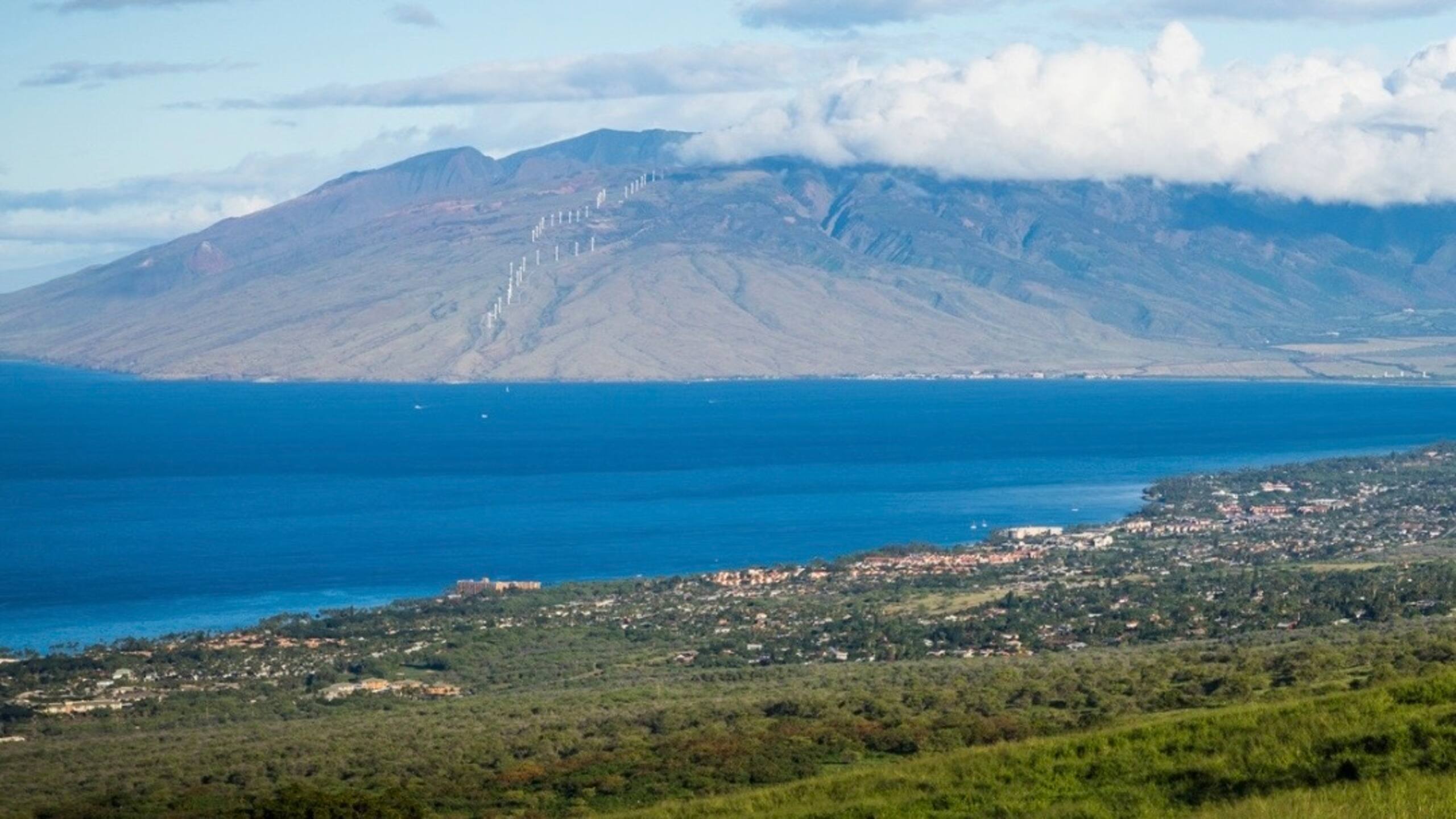 Home in Kihei · ★4.92 · Studio · 1 bed · 1 private bath - Image 44