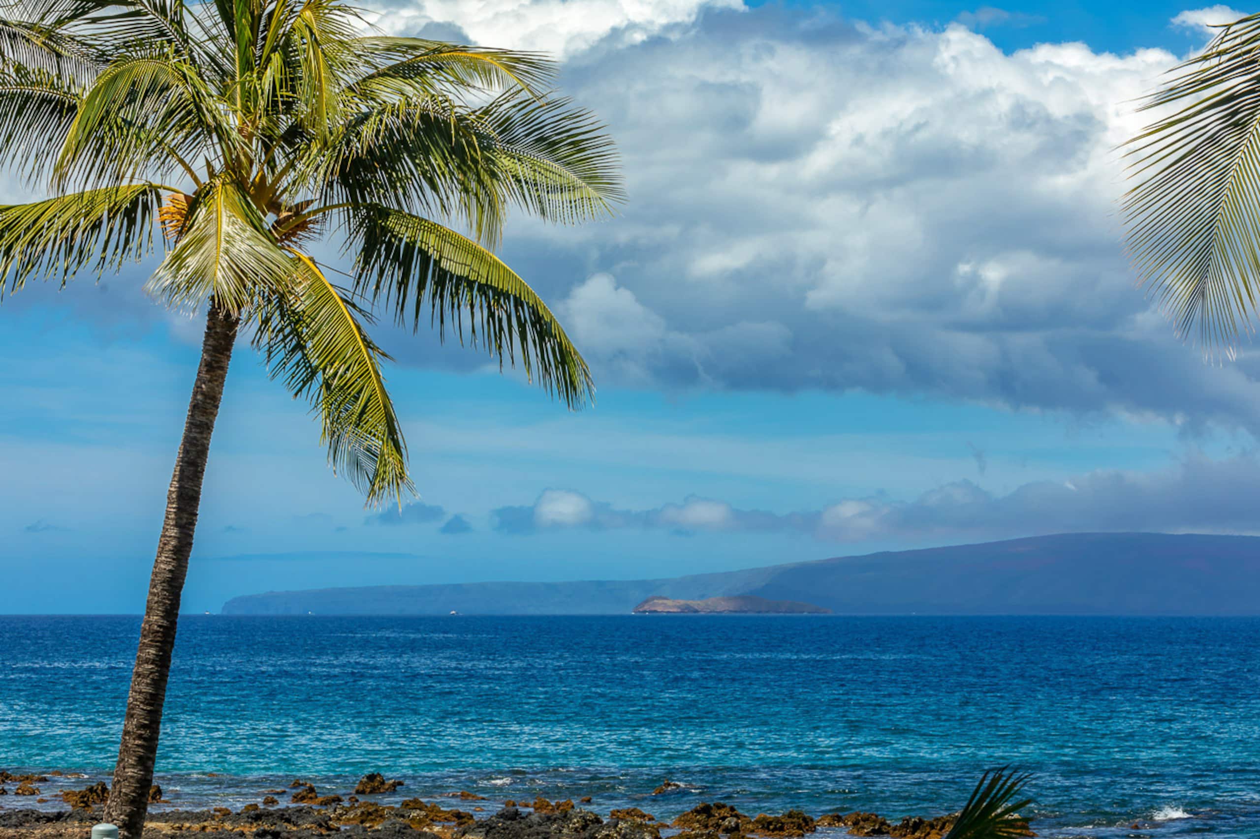 Condo in Kihei · ★4.71 · 1 bedroom · 2 beds · 1.5 baths - Image 36