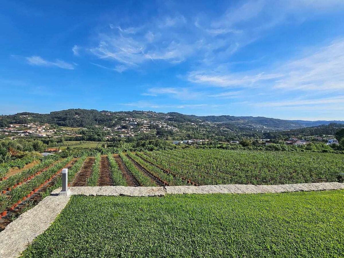 A sweeping view of the lush landscape showcases vibrant green fields and cultivated rows of blueberry plants. Rolling hills stretch into the distance beneath a clear blue sky, accentuating the peaceful surroundings of the Quinta do Casal do Bairro.