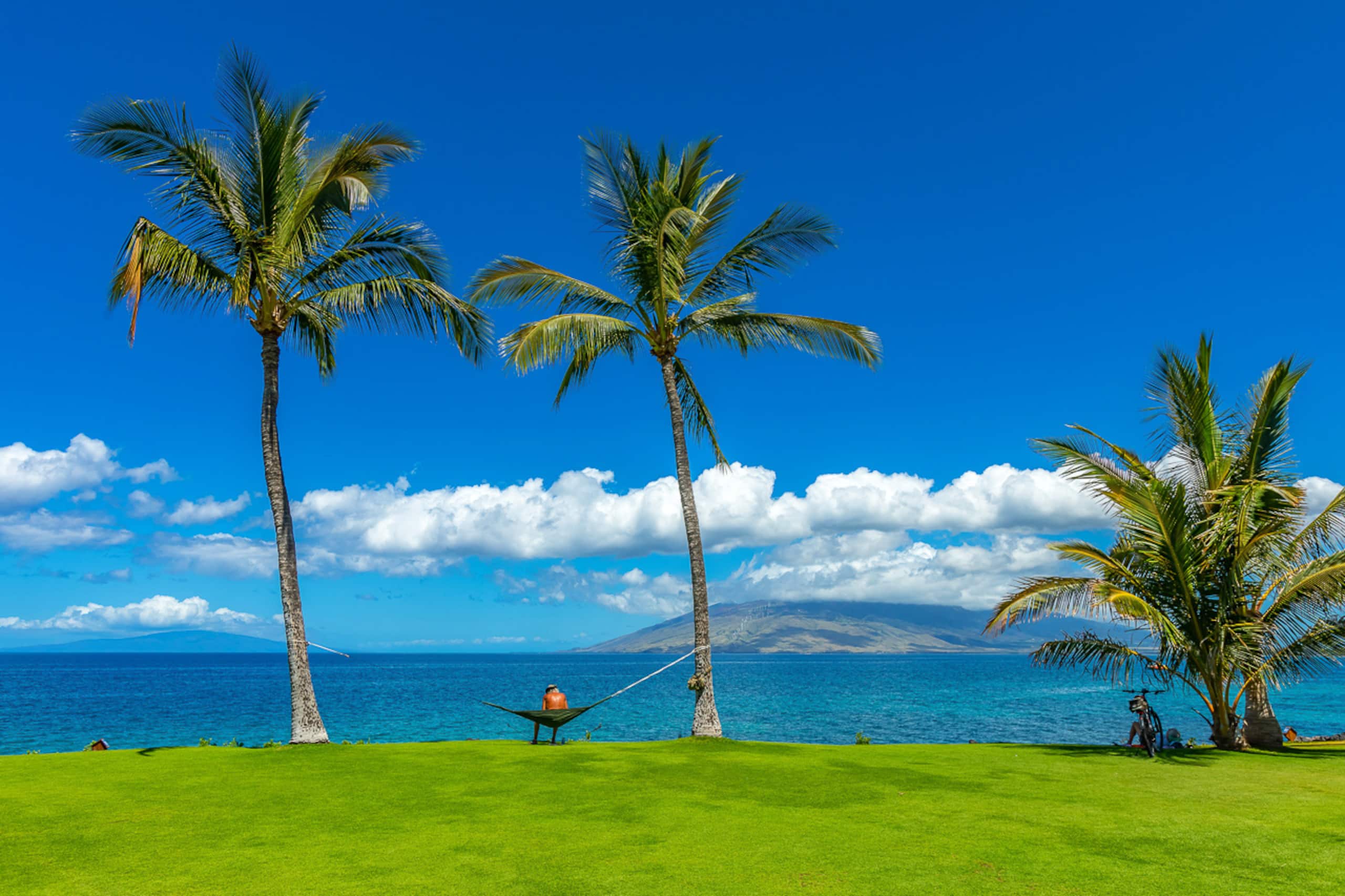Condo in Kihei · ★4.94 · 1 bedroom · 2 beds · 1 bath - Image 38