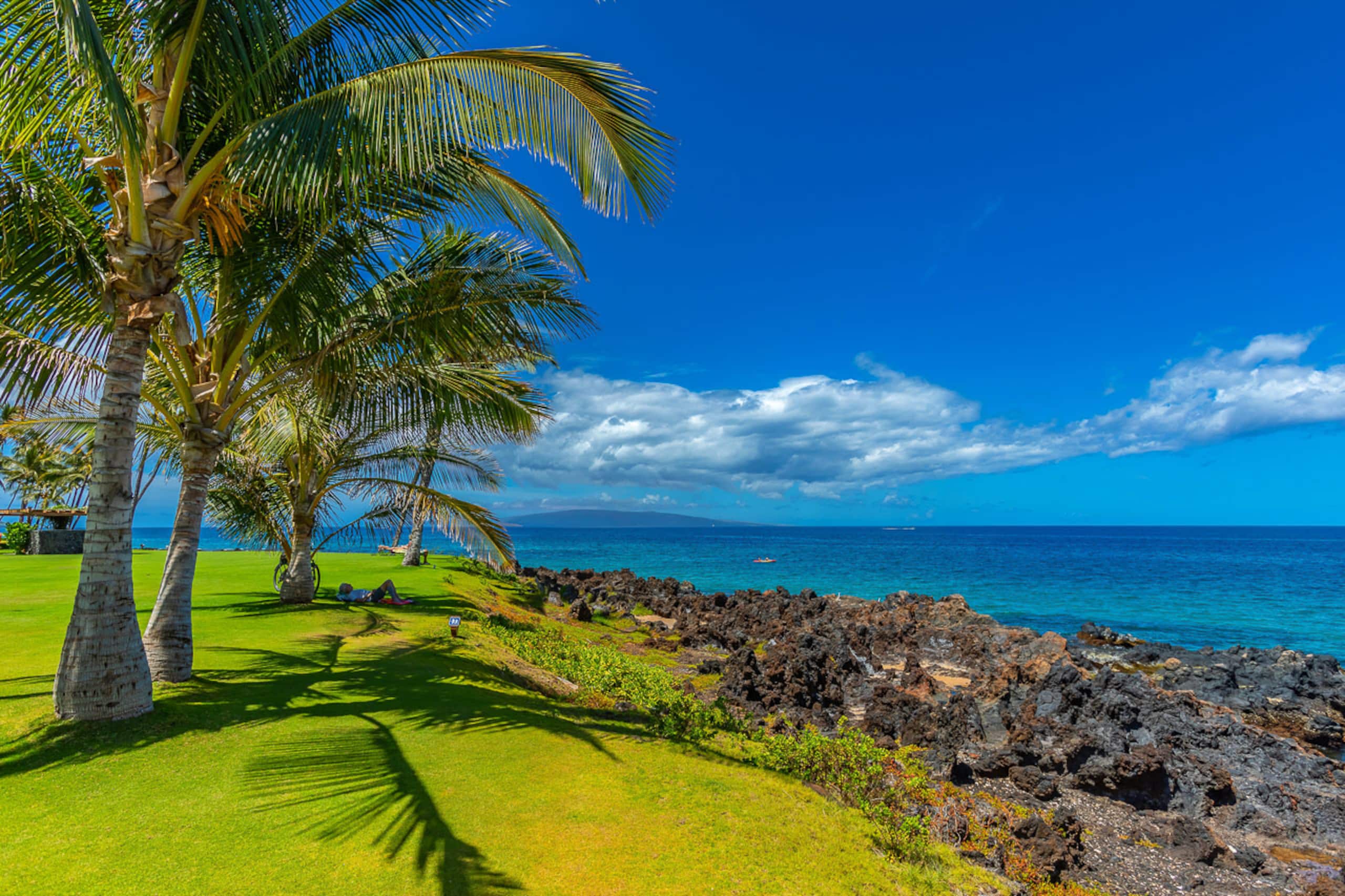 Condo in Kihei · ★4.94 · 1 bedroom · 2 beds · 1 bath - Image 29
