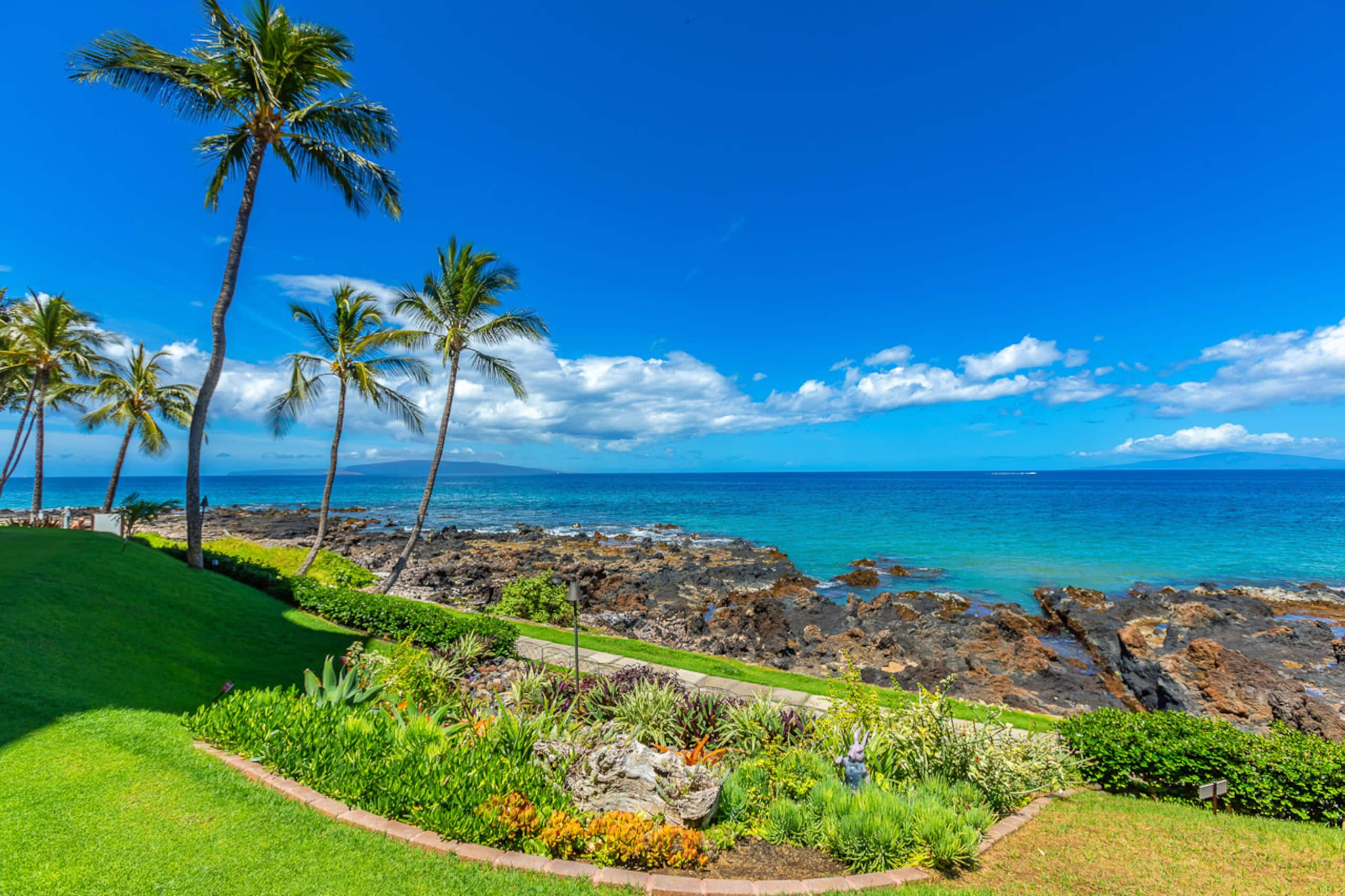Condo in Kihei · ★4.94 · 1 bedroom · 2 beds · 1 bath - Image 42