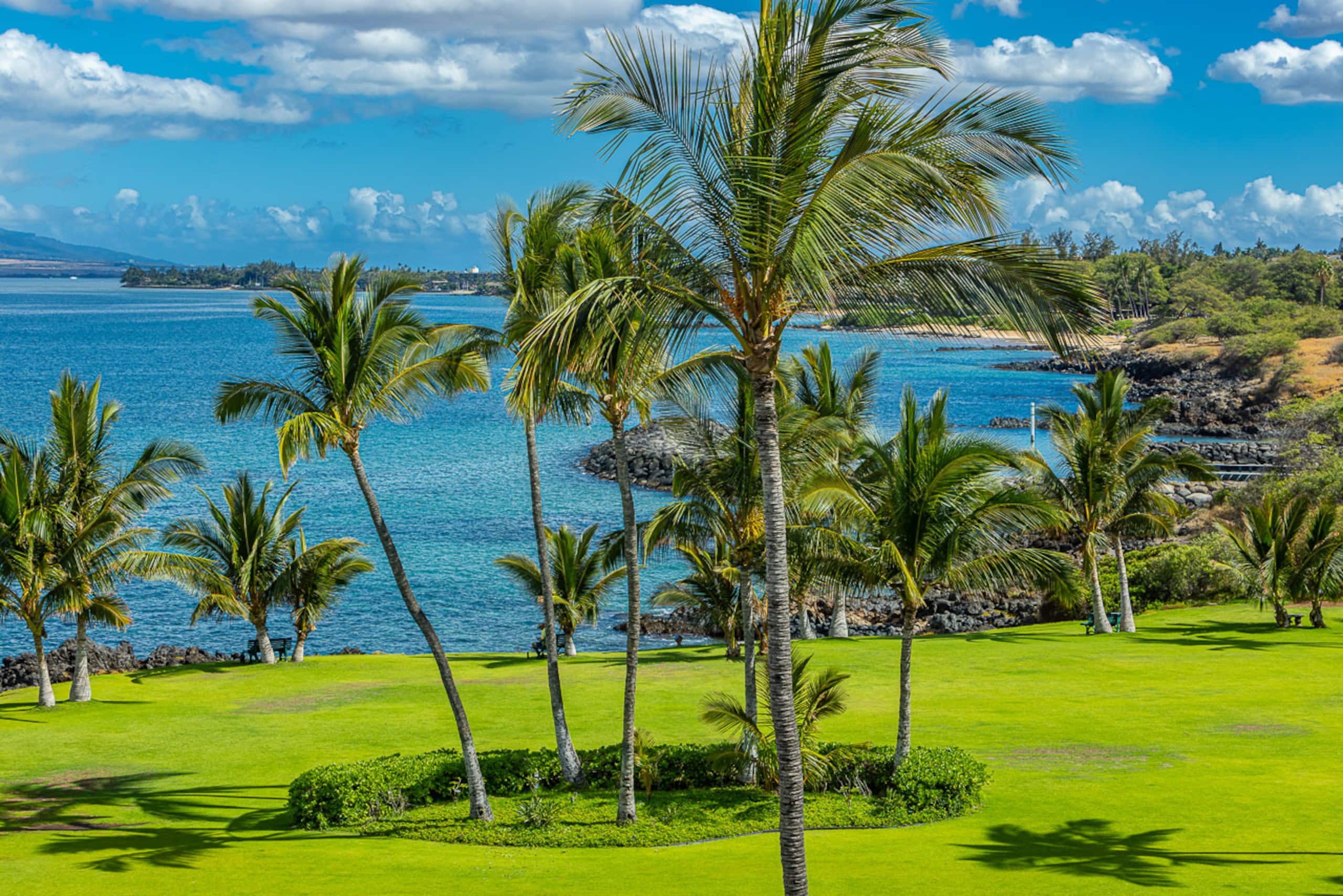 Condo in Kihei · ★4.94 · 1 bedroom · 2 beds · 1 bath - Image 36