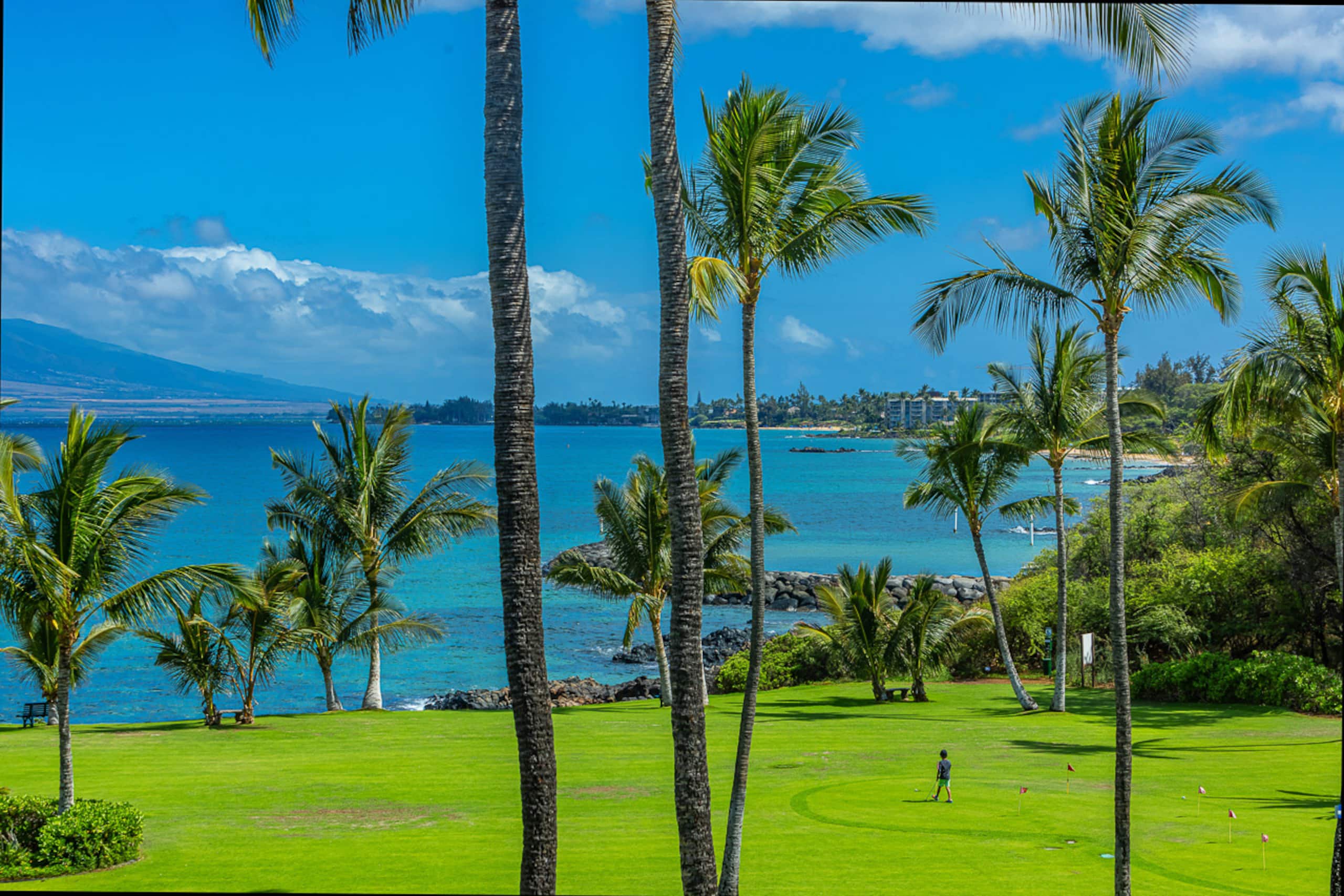 Condo in Kihei · ★4.94 · 1 bedroom · 2 beds · 1 bath - Image 41
