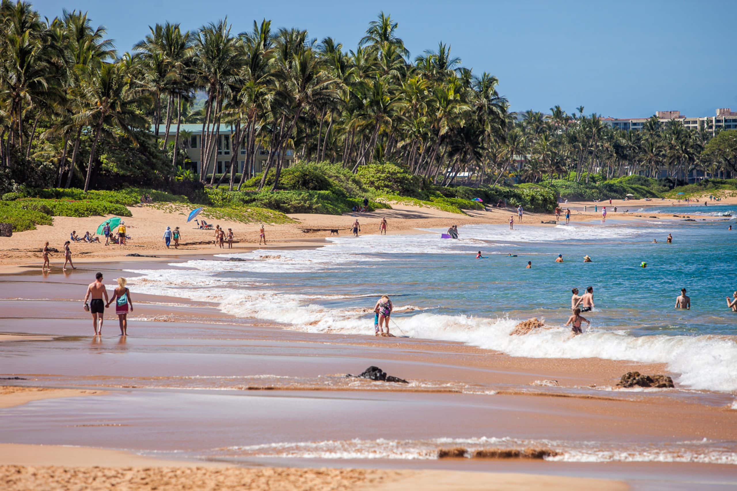 Condo in Kihei · ★4.94 · 1 bedroom · 2 beds · 1 bath - Image 47