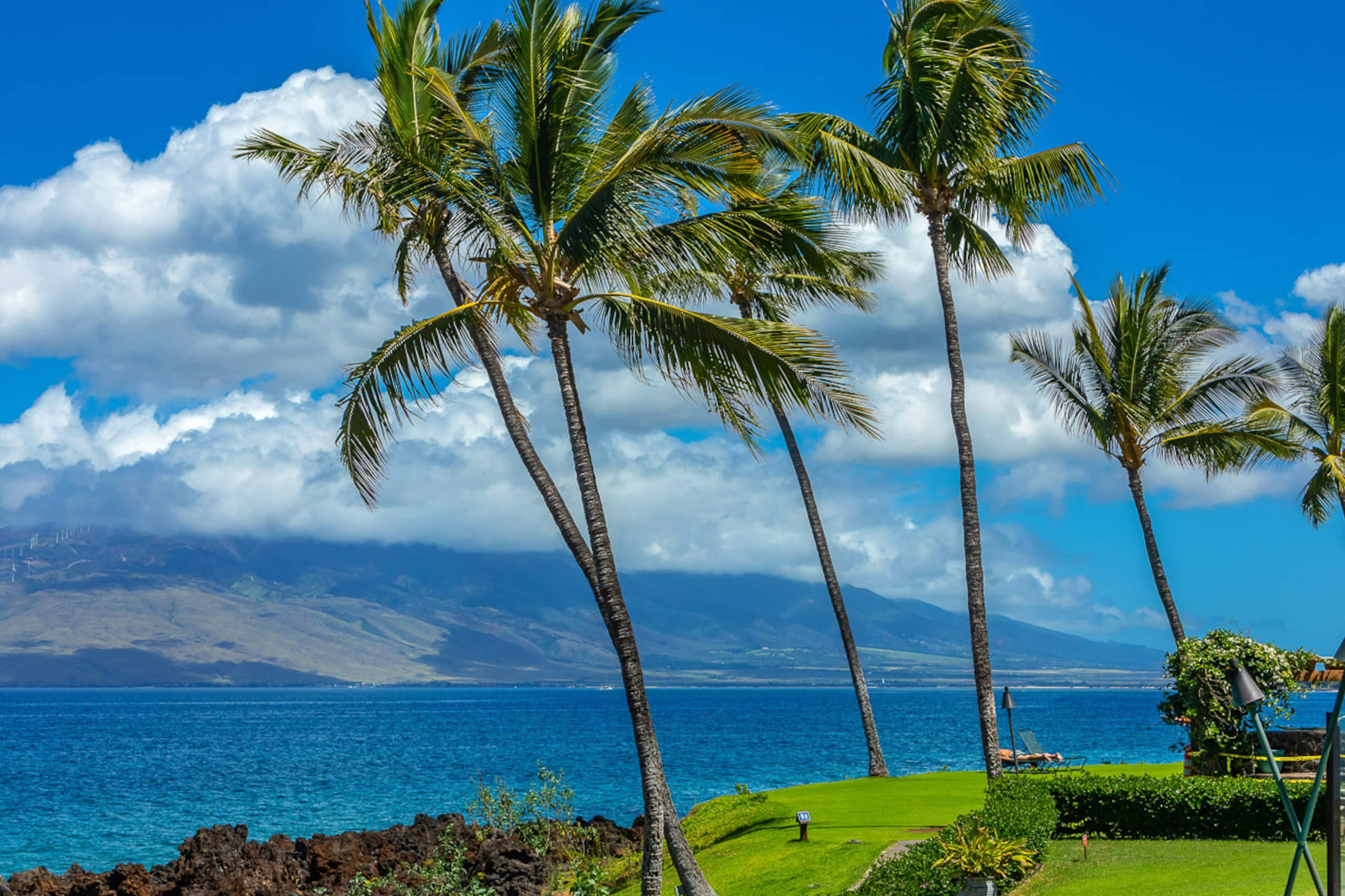 Condo in Kihei · ★4.94 · 1 bedroom · 2 beds · 1 bath - Image 35