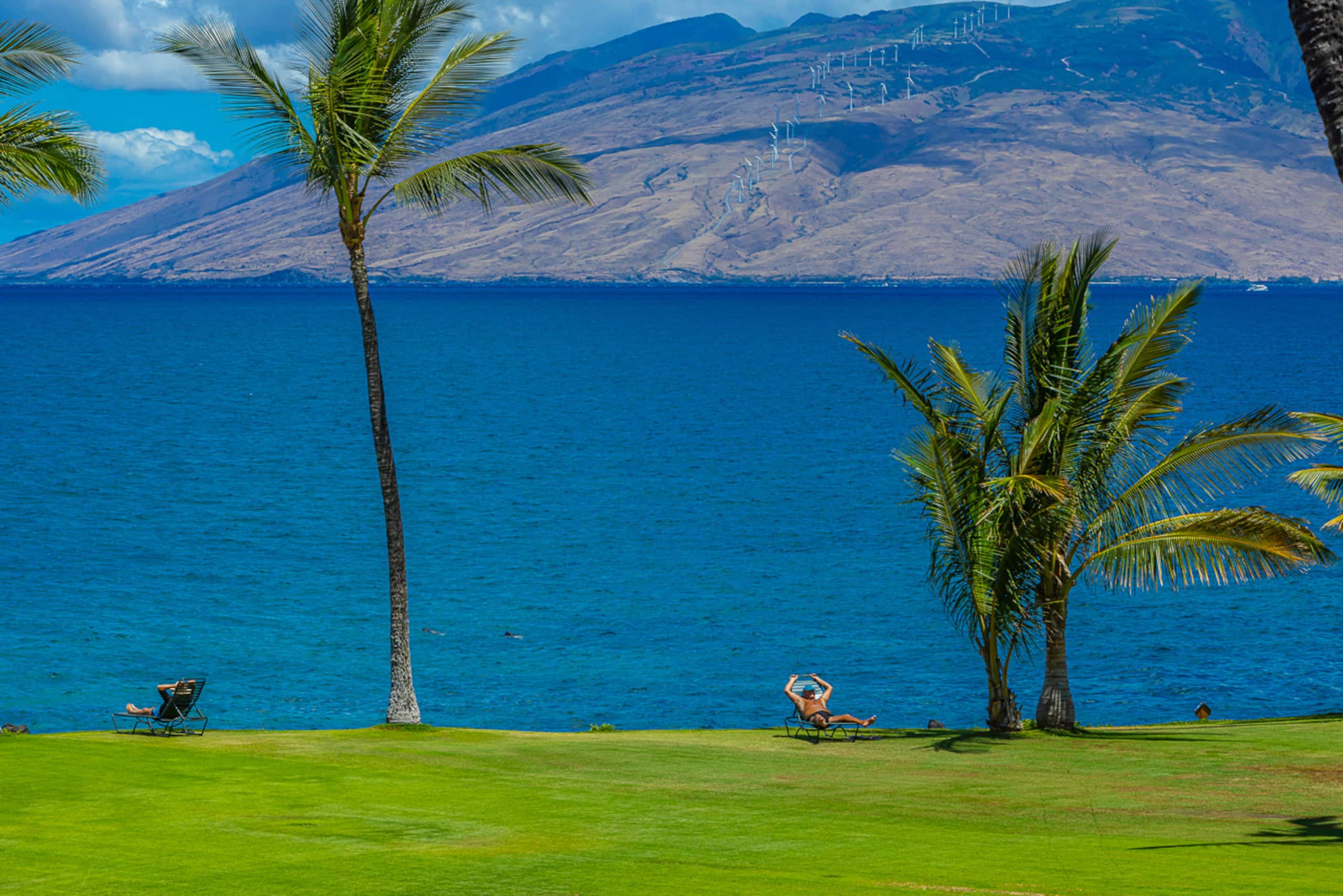 Condo in Kihei · ★4.94 · 1 bedroom · 2 beds · 1 bath - Image 40