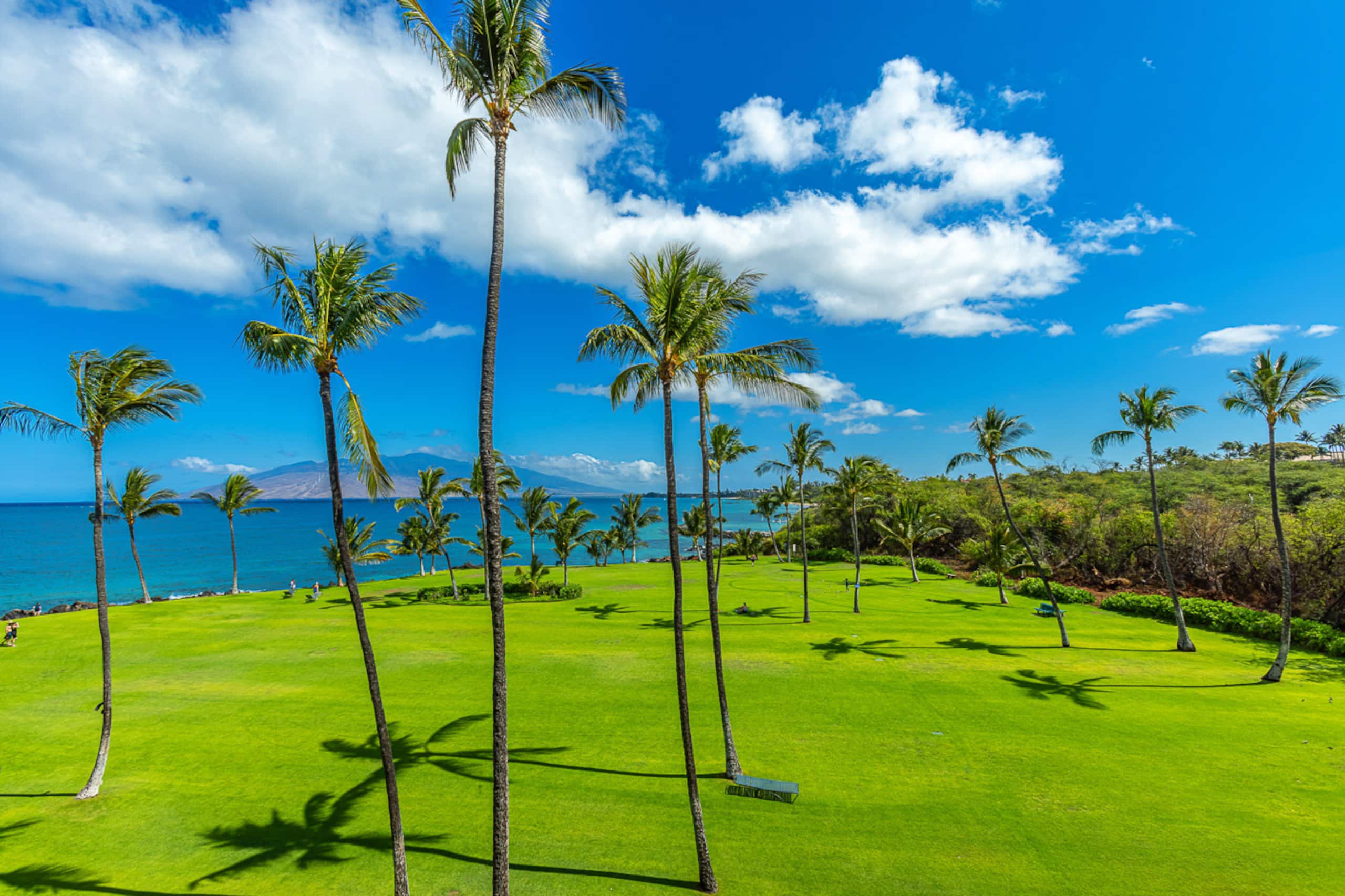 Condo in Kihei · ★4.94 · 1 bedroom · 2 beds · 1 bath - Image 9