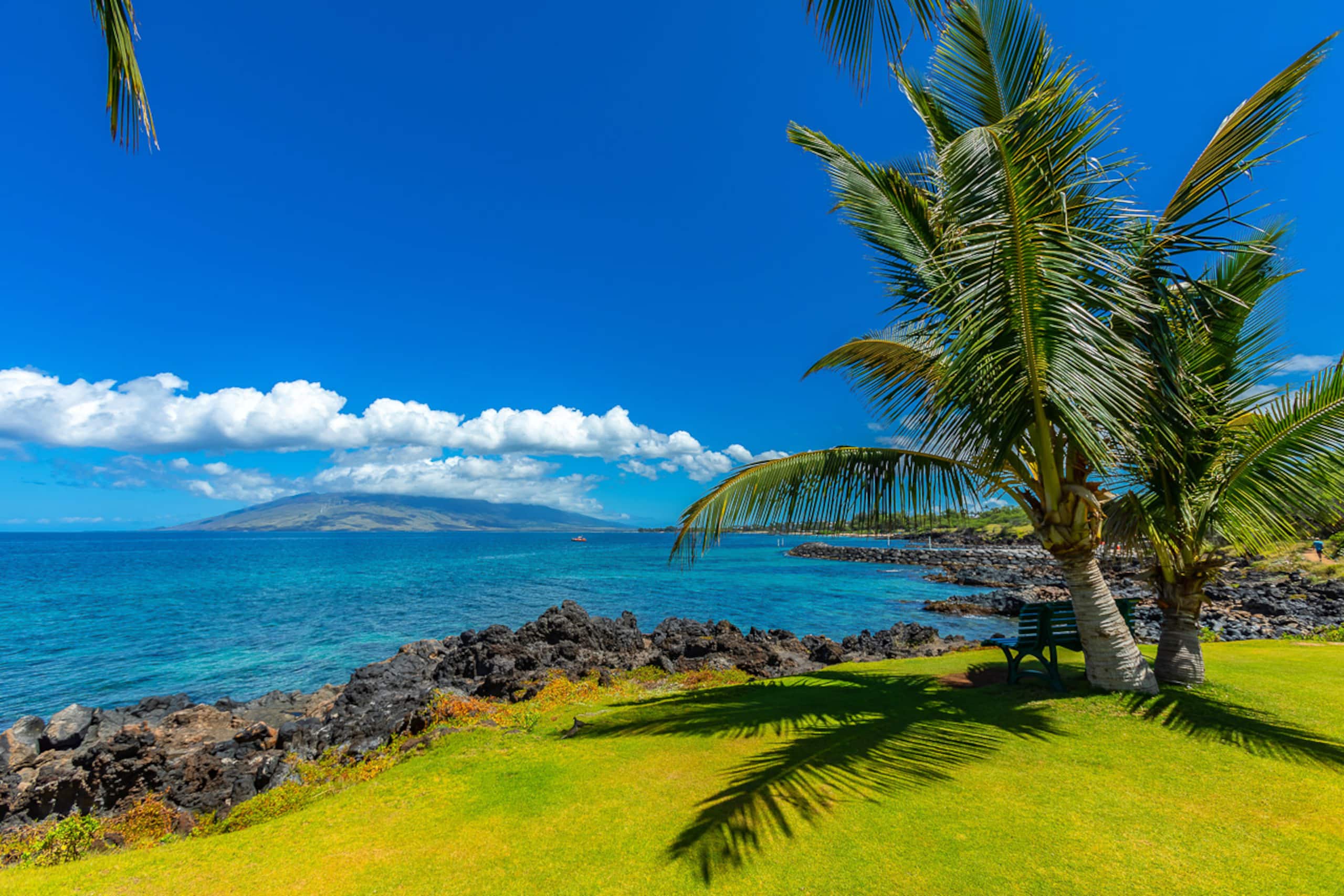 Condo in Kihei · ★4.94 · 1 bedroom · 2 beds · 1 bath - Image 32