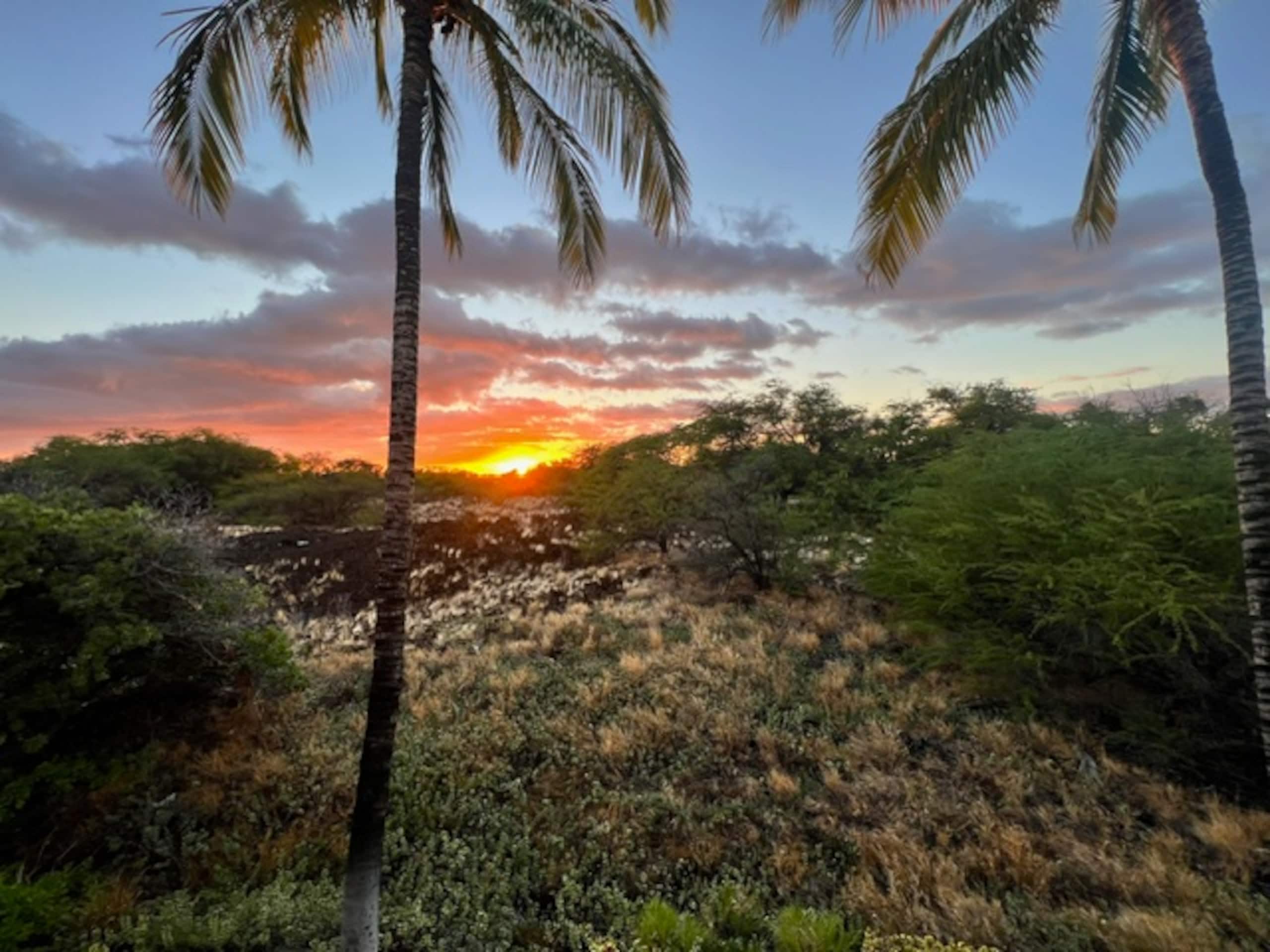 Townhouse in Waimea · ★4.96 · 2 bedrooms · 4 beds · 2.5 baths - Image 24