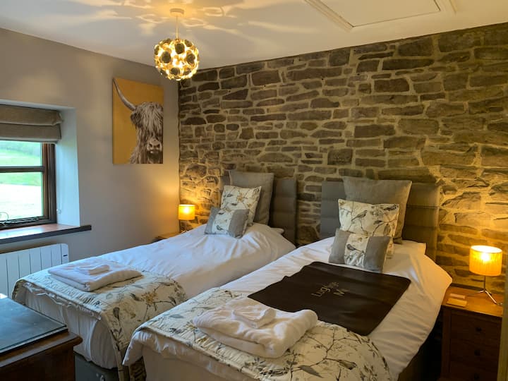 Quarto 5