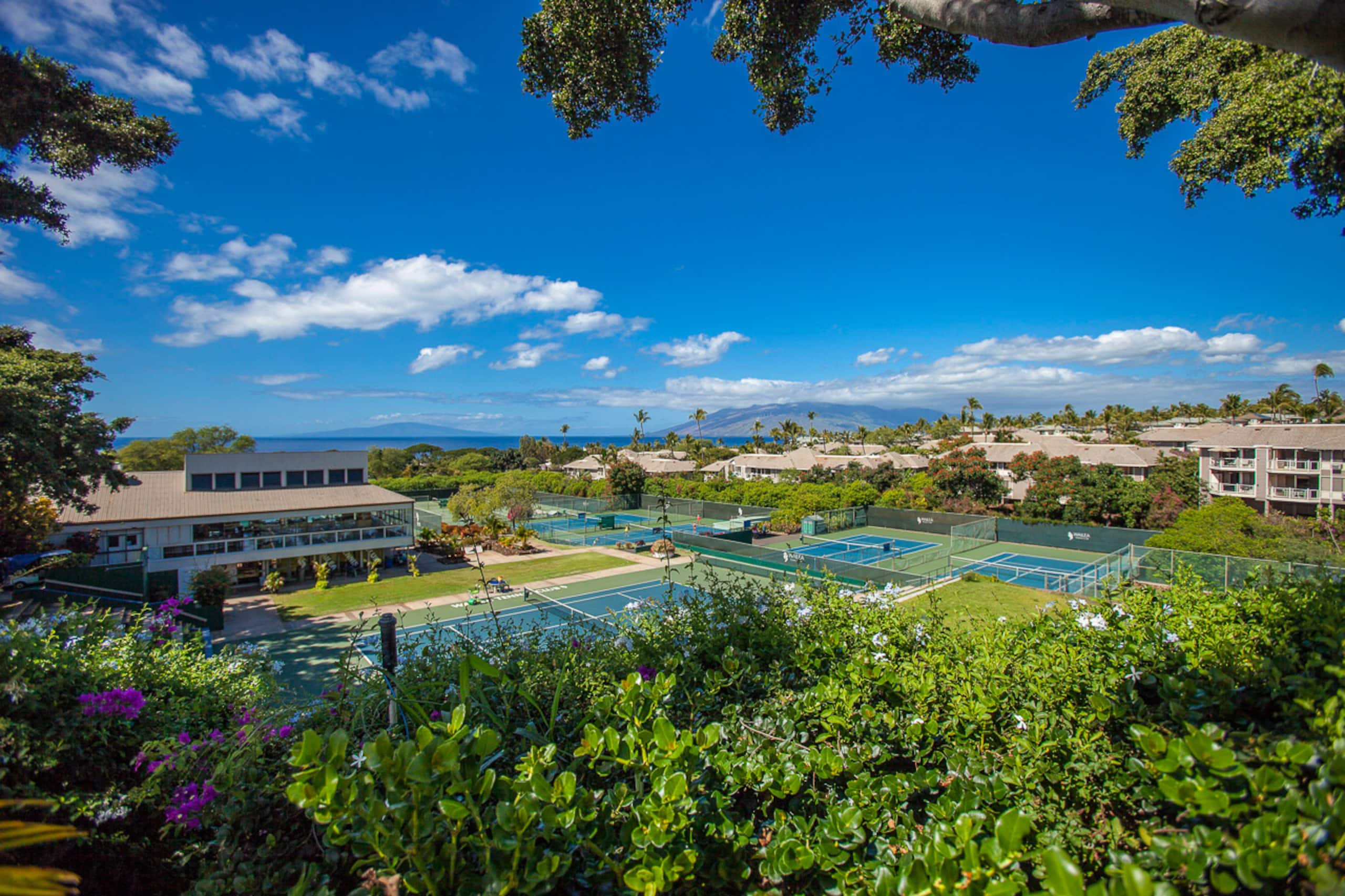 Condo in Wailea · ★4.77 · 2 bedrooms · 2 beds · 2 baths - Image 43