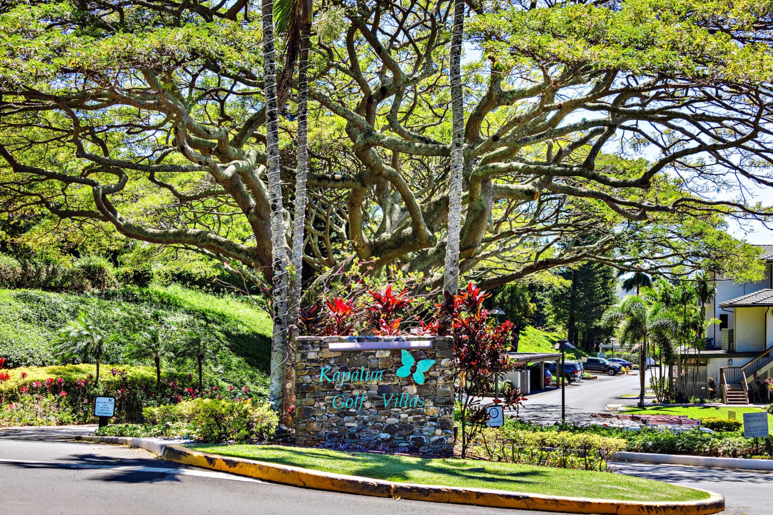 Condo in Lahaina · ★4.58 · 1 bedroom · 2 beds · 1.5 private baths - Image 39