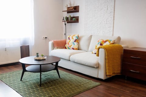 Cozy apartment in the city center