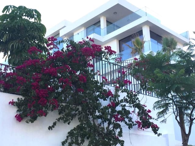 Palm Tree Properties managed Airbnb listing 1