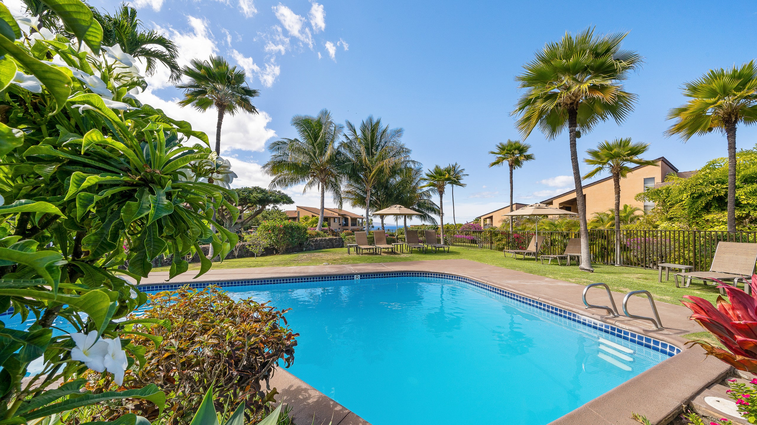 Condo in Kihei · ★4.7 · Studio · 1 bed · 1 bath - Image 36