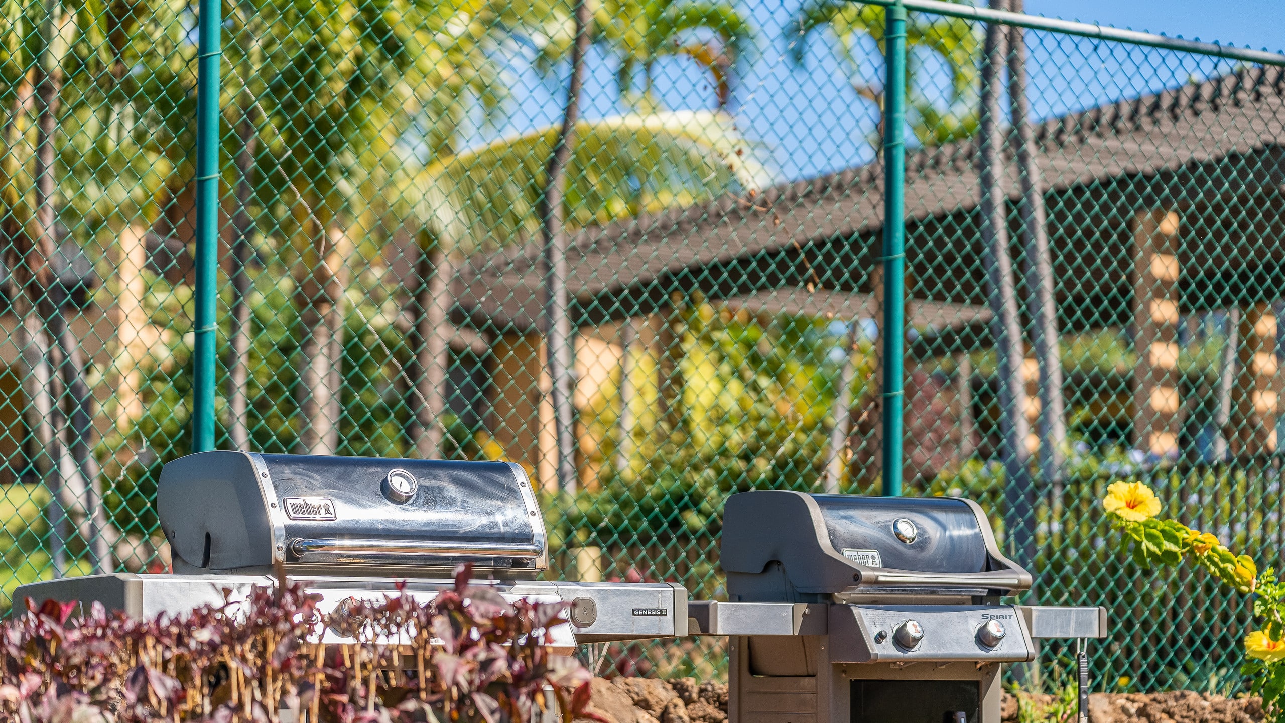 Condo in Kihei · ★4.7 · Studio · 1 bed · 1 bath - Image 31