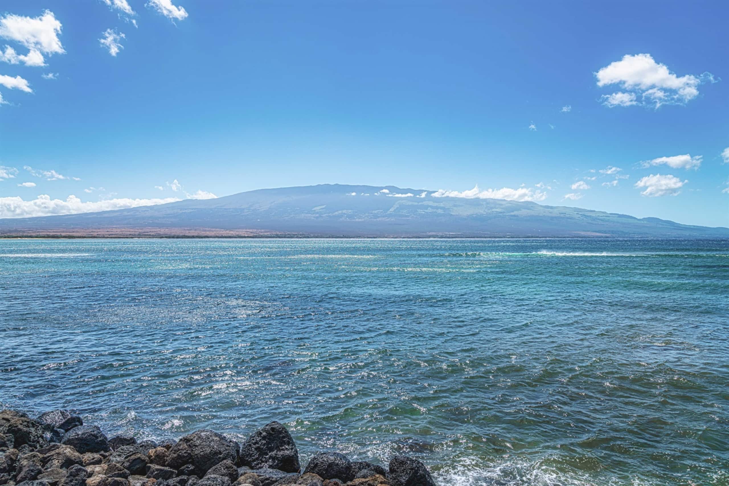 Condo in Wailuku · ★4.87 · 2 bedrooms · 4 beds · 2 baths - Image 30