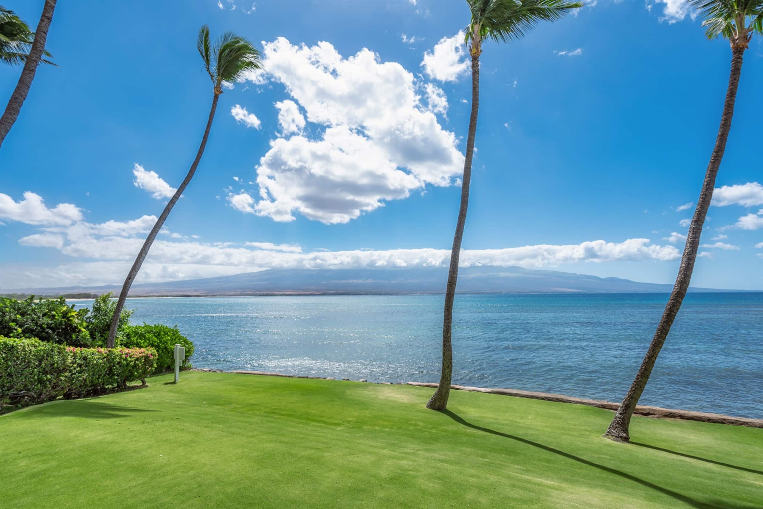 Condo in Wailuku · ★4.87 · 2 bedrooms · 4 beds · 2 baths - Image 31