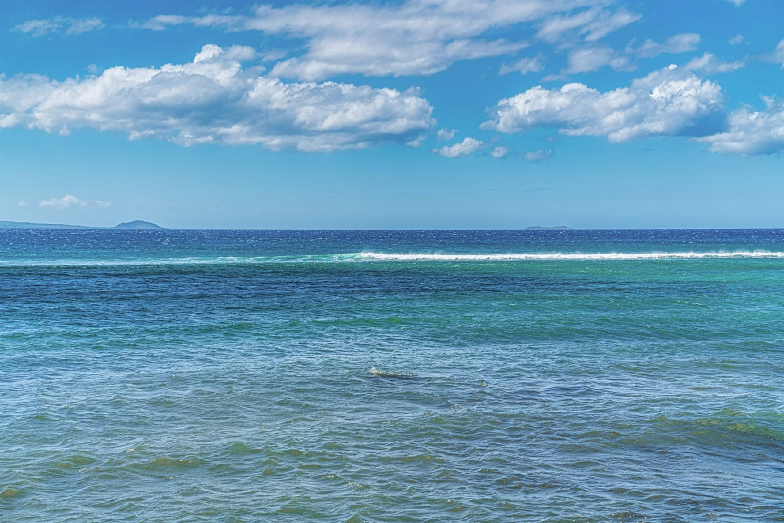 Condo in Wailuku · ★4.87 · 2 bedrooms · 4 beds · 2 baths - Image 29