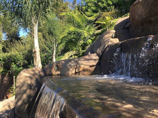 Amazing Family Vacation! gallery image 4