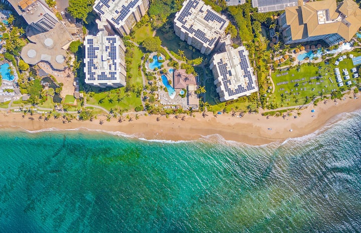 Maui Resort Rentals: Kaanapali Alii 432 Oceanview - Condominiums