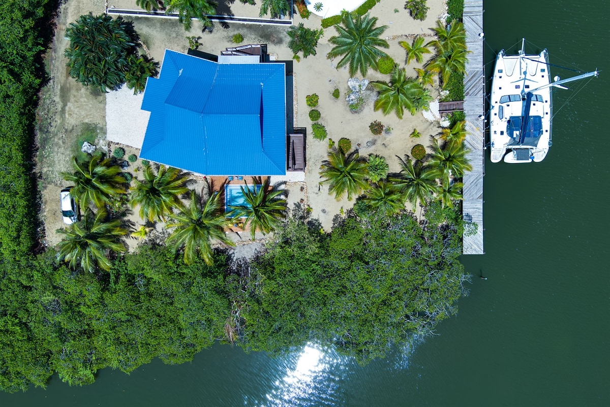 An aerial view captures the vibrant blue roof of the property surrounded by lush palm trees and greenery. The clear water reflects sunlight, while a boat is docked at the adjacent pier, highlighting the proximity to the water.