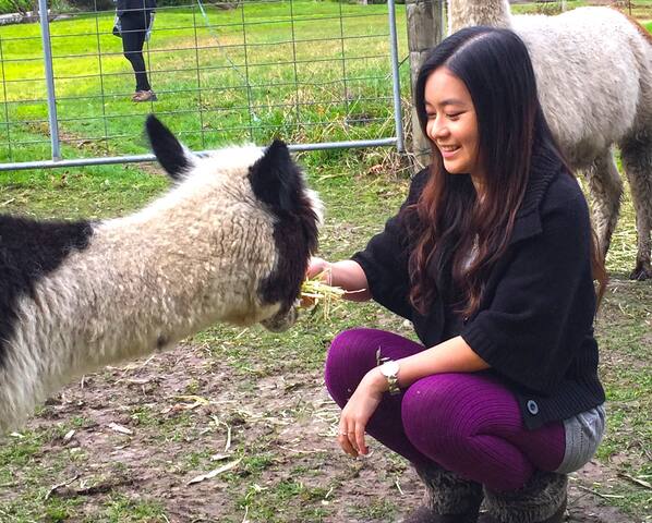 Apartment 2 gallery image 5