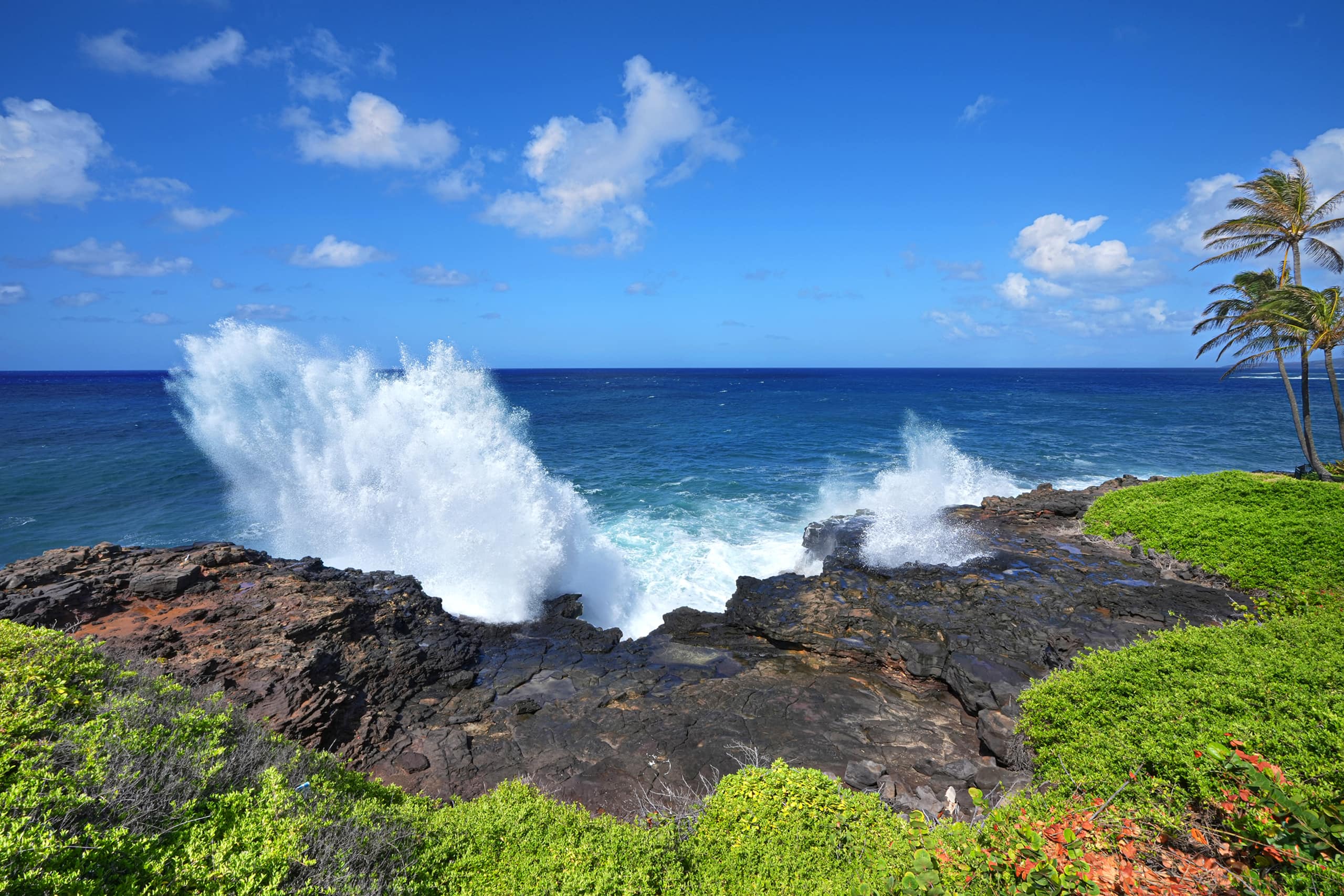Condo in Koloa · ★4.84 · 2 bedrooms · 4 beds · 2 baths - Image 17