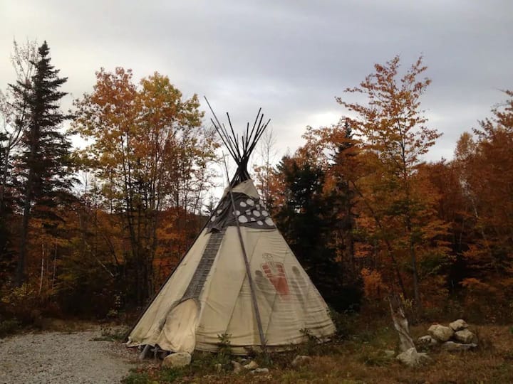 A tipi is situated among trees with fall foliage in New Hampshire