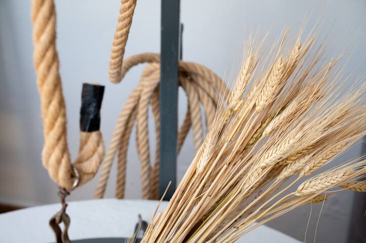 Pegaso – Ca’n Vicenç gallery image 5