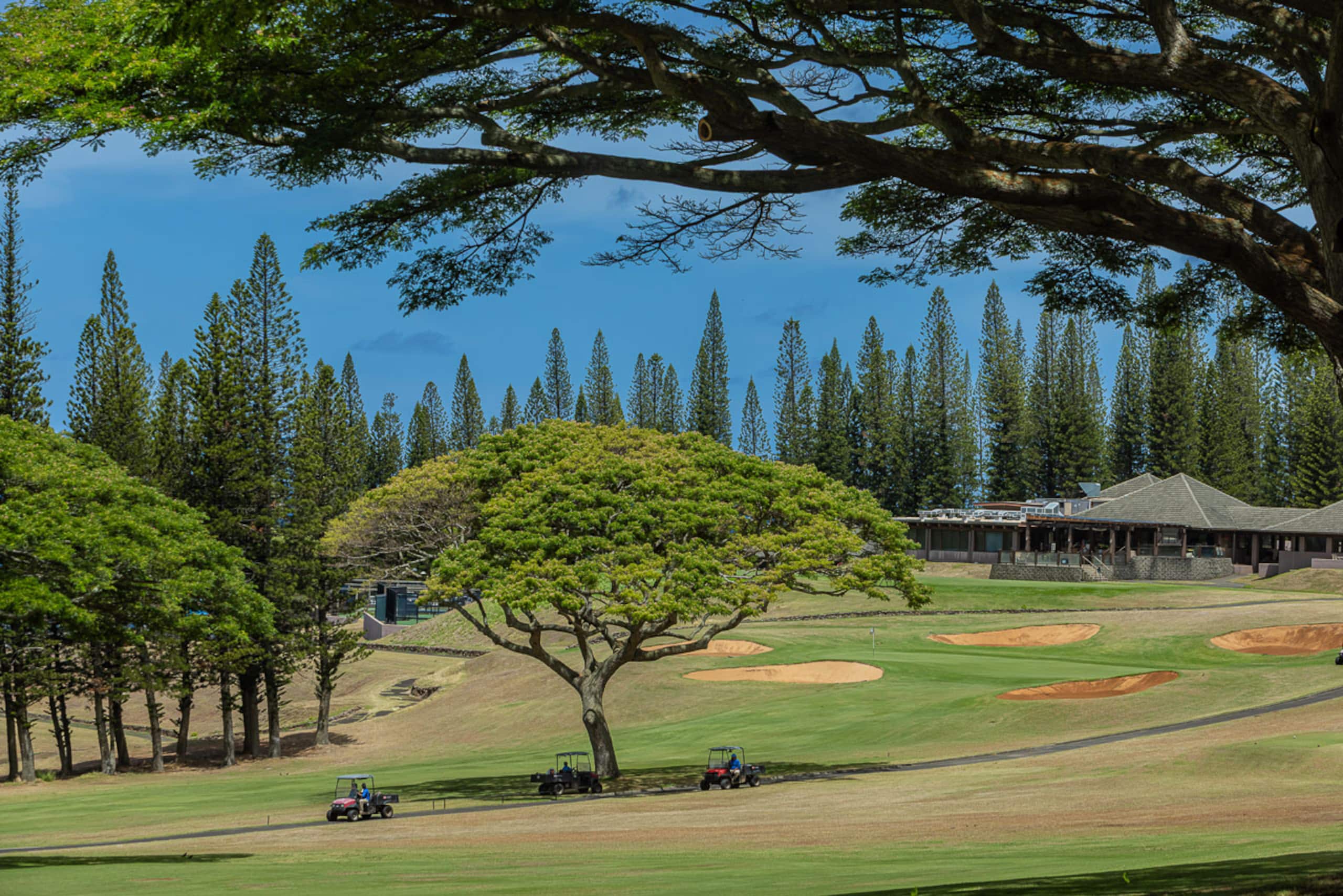 Condo in Lahaina · ★5.0 · 2 bedrooms · 2 beds · 2 baths - Image 55
