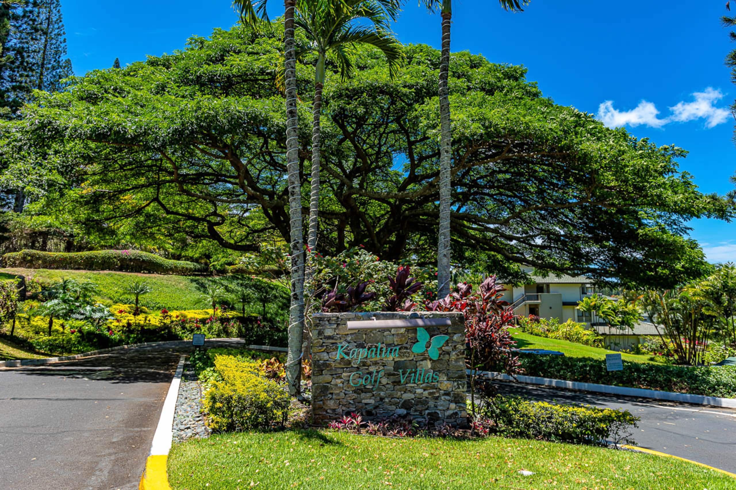 Condo in Lahaina · ★5.0 · 2 bedrooms · 2 beds · 2 baths - Image 6