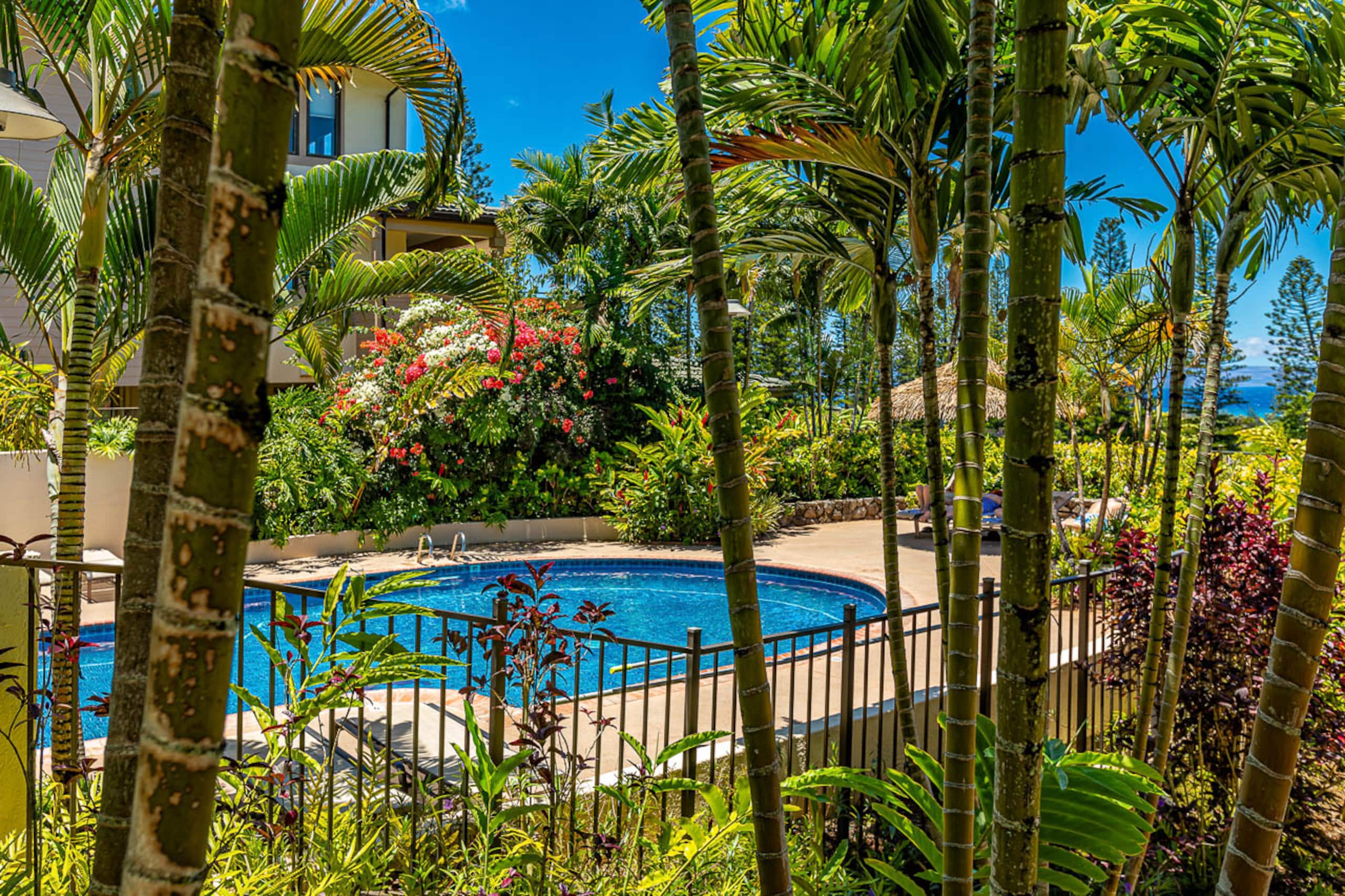 Condo in Lahaina · ★5.0 · 2 bedrooms · 2 beds · 2 baths - Image 34