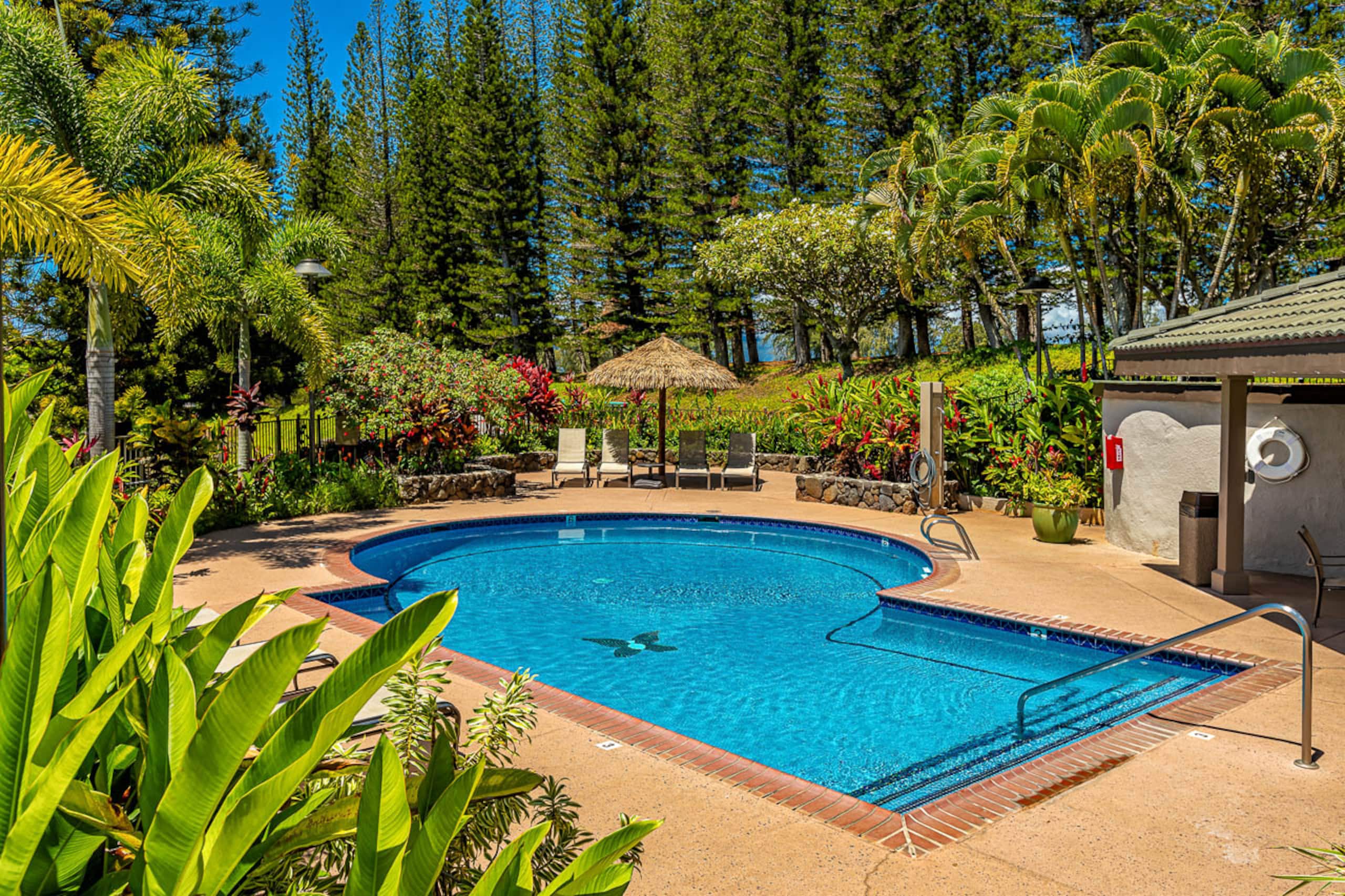 Condo in Lahaina · ★5.0 · 2 bedrooms · 2 beds · 2 baths - Image 39
