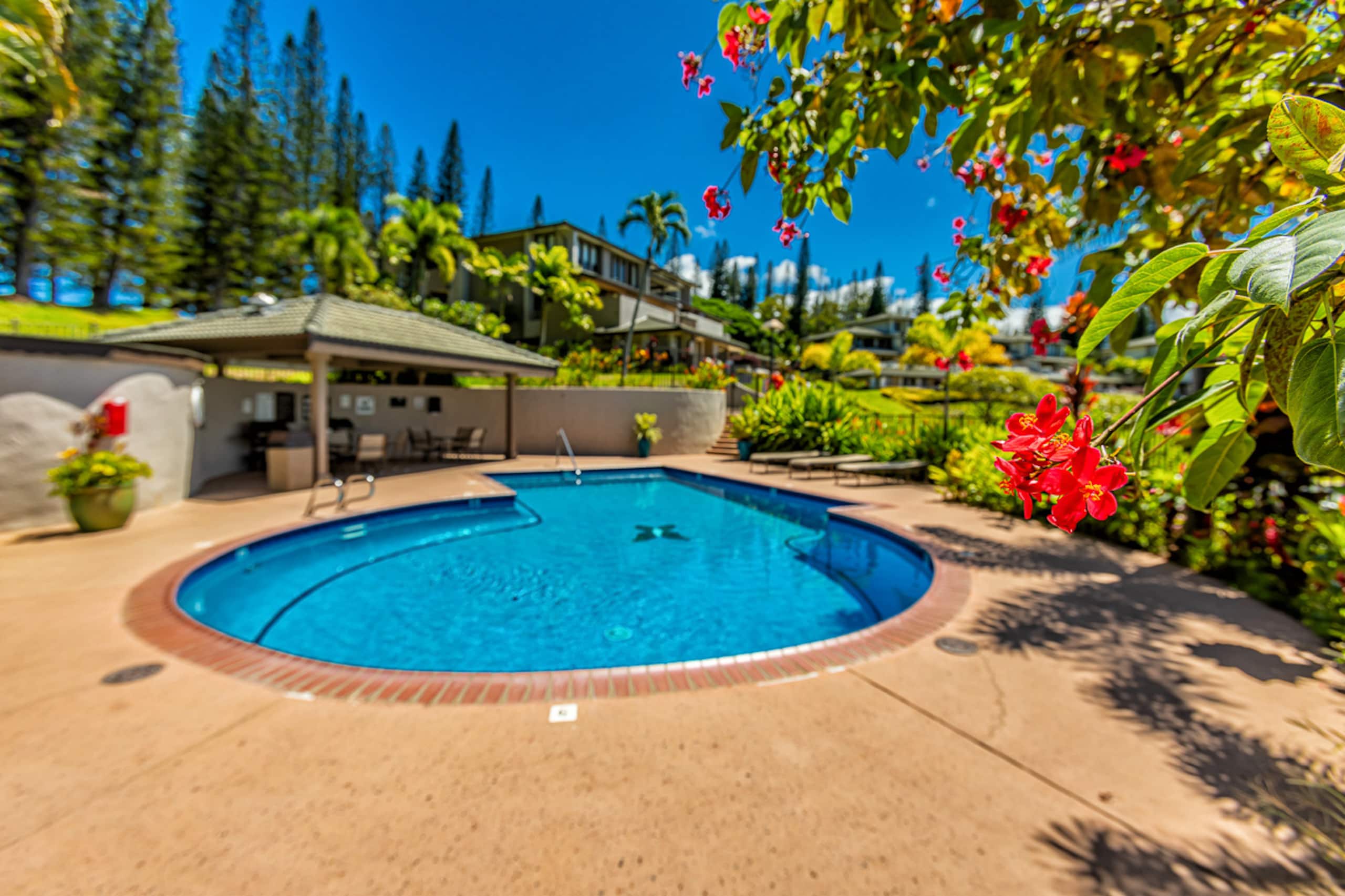 Condo in Lahaina · ★5.0 · 2 bedrooms · 2 beds · 2 baths - Image 54