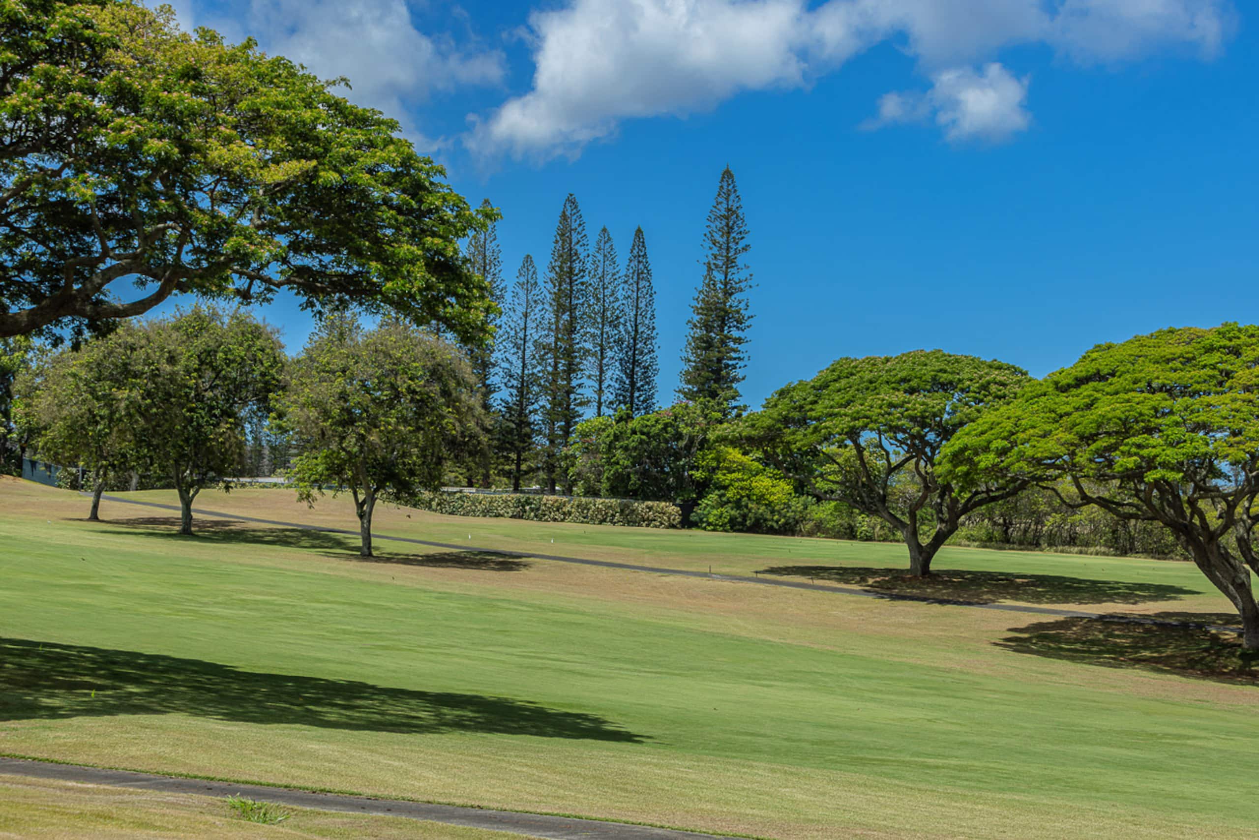 Condo in Lahaina · ★5.0 · 2 bedrooms · 2 beds · 2 baths - Image 56