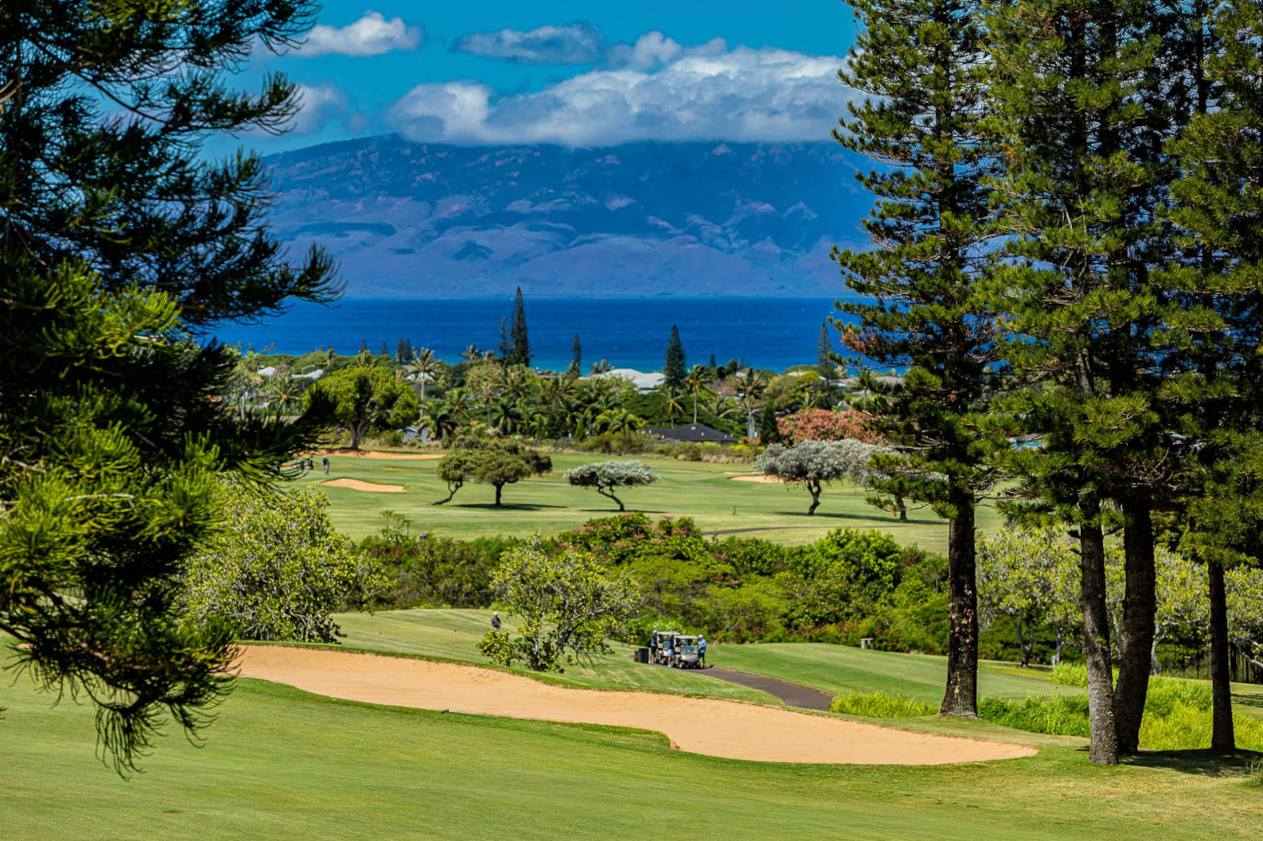 Condo in Lahaina · ★4.17 · 2 bedrooms · 4 beds · 2 baths - Image 55