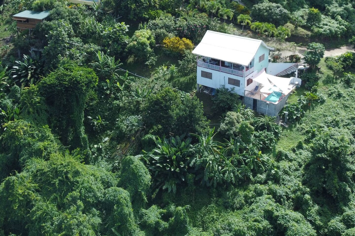 An aerial view depicts a private cottage surrounded by lush greenery. The two-story structure is set within a verdant landscape, showcasing vibrant foliage, tropical plants, and a small pool visible in the yard. The remote location suggests tranquility and natural beauty.