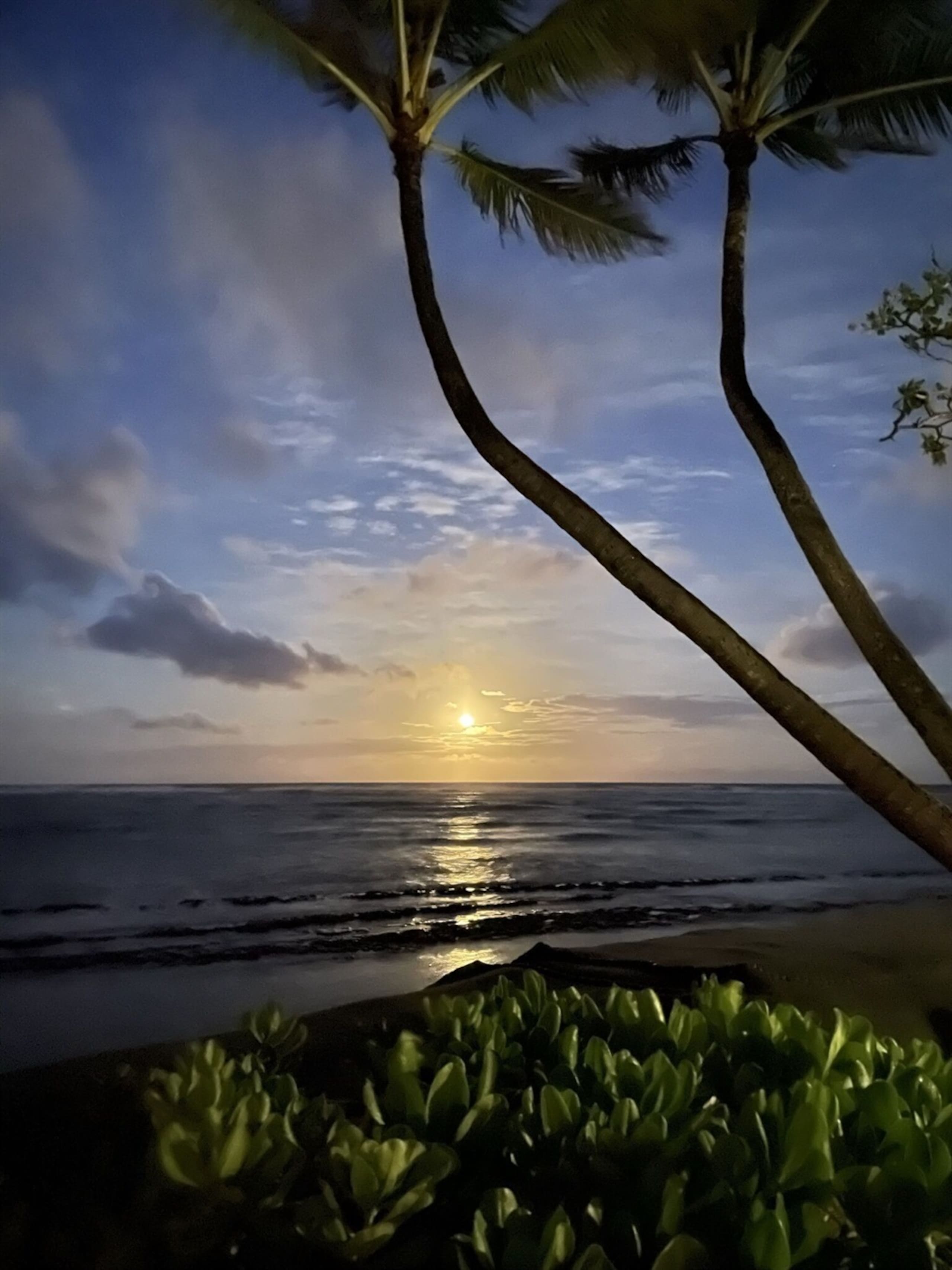 Condo in Kapaa · ★4.95 · 2 bedrooms · 3 beds · 1.5 baths - Image 27