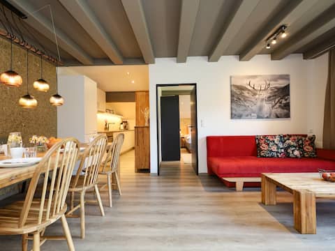 Successful Airbnb property: Modern apartment, 500m to the ski lift in Hopfgarten Im Brixental