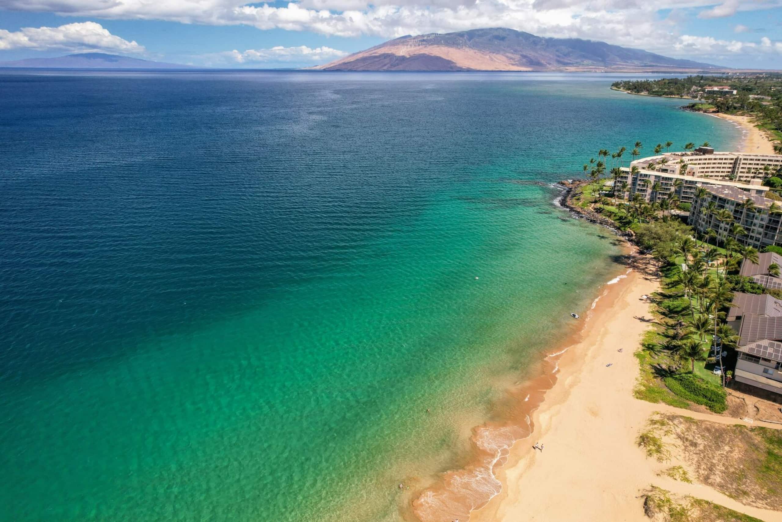 Condo in Kihei · ★4.74 · 1 bedroom · 2 beds · 1 bath - Image 21